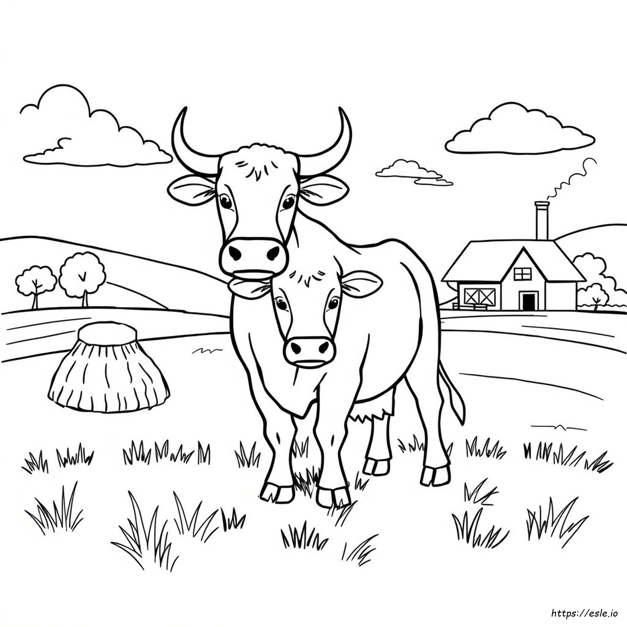 Bull Coloring Pictures