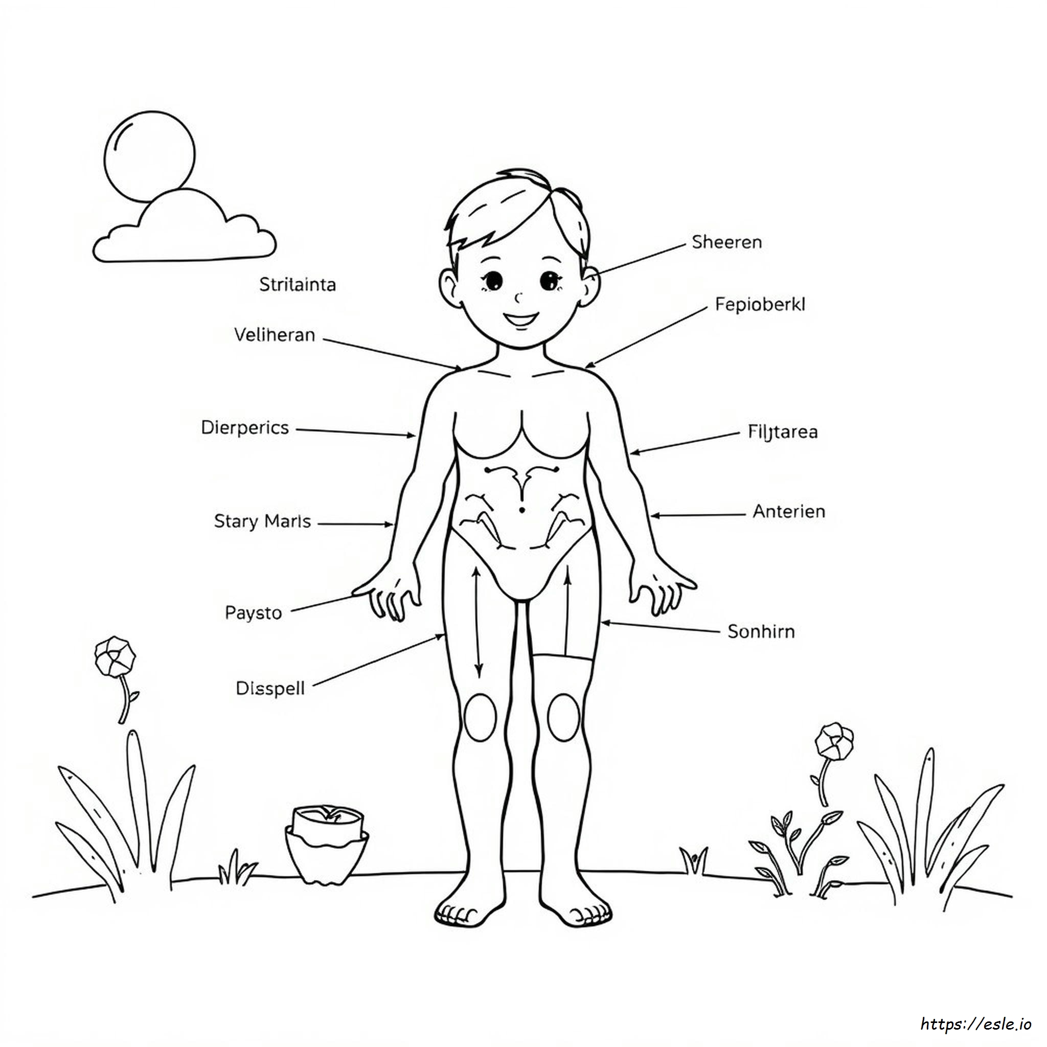 Body Safety Coloring Pages
