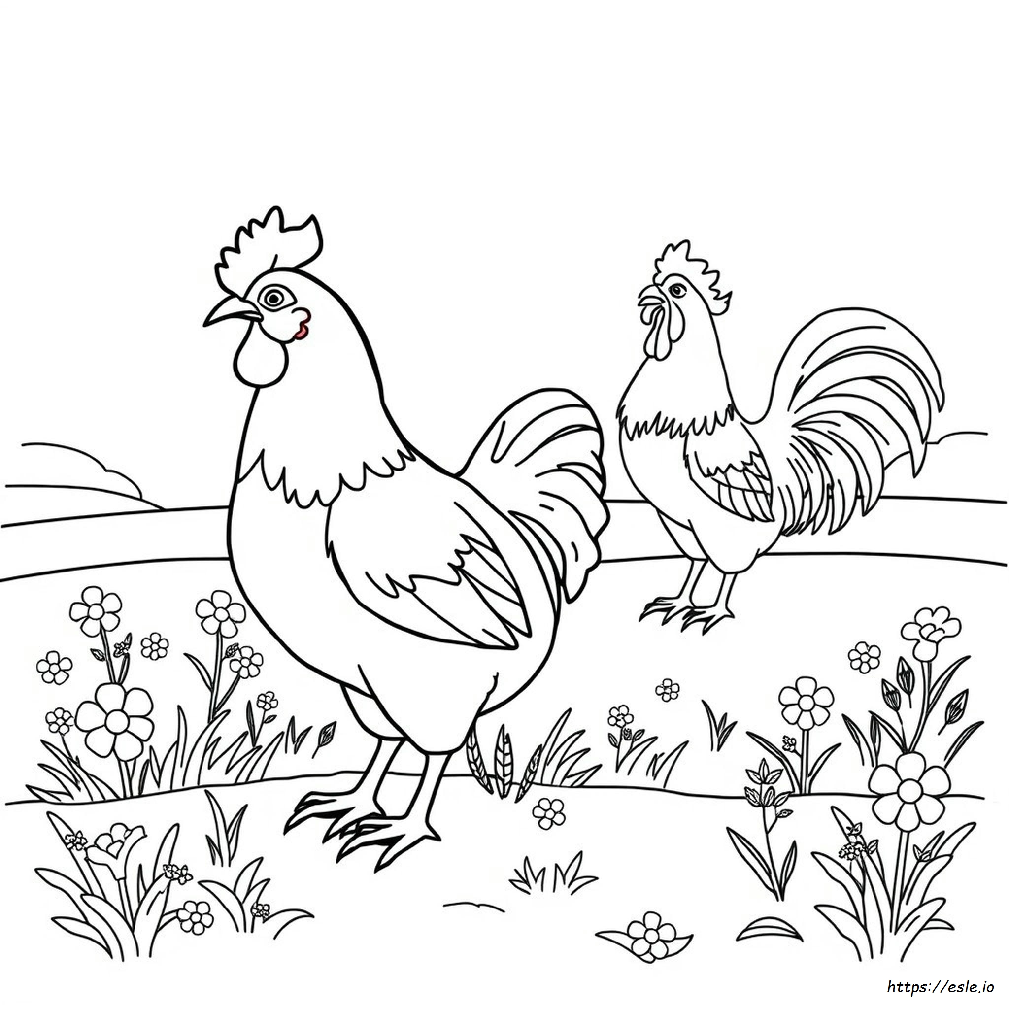 Desene De Colorat Cu Pui i Coco Desene De Colorat Cu Pui i Coco