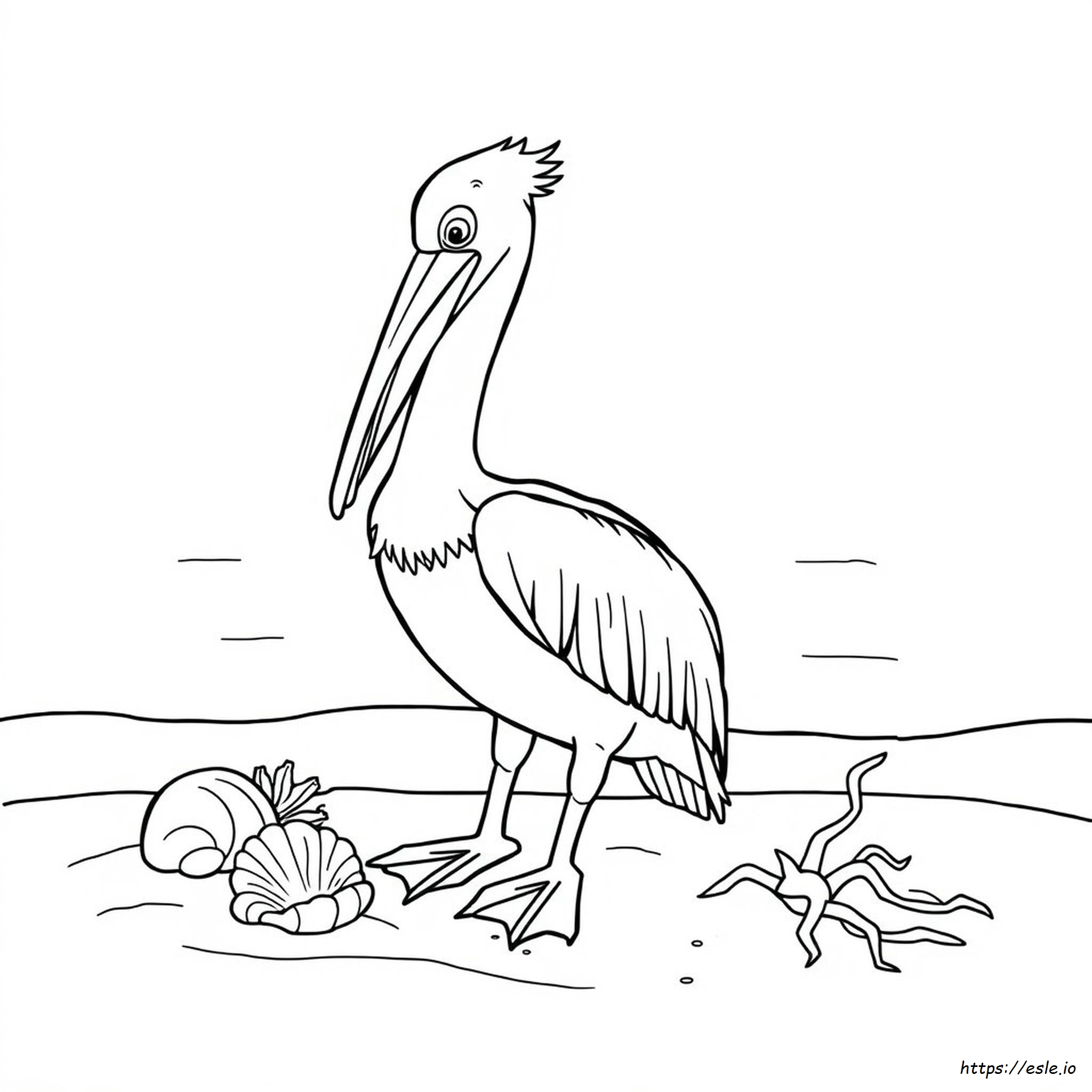 Pelican Colouring Pages