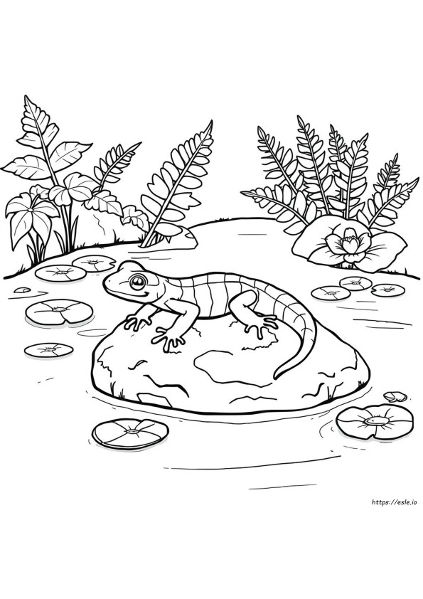 Coloriage Salamandre