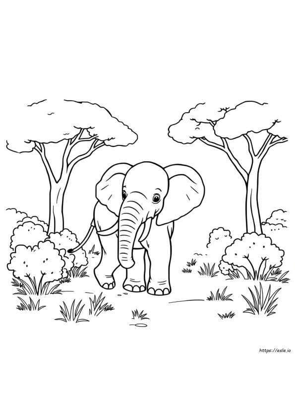 Ideias De Elefantes Para Colorir