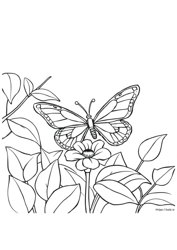 Hoja Para Colorear De Mariposa