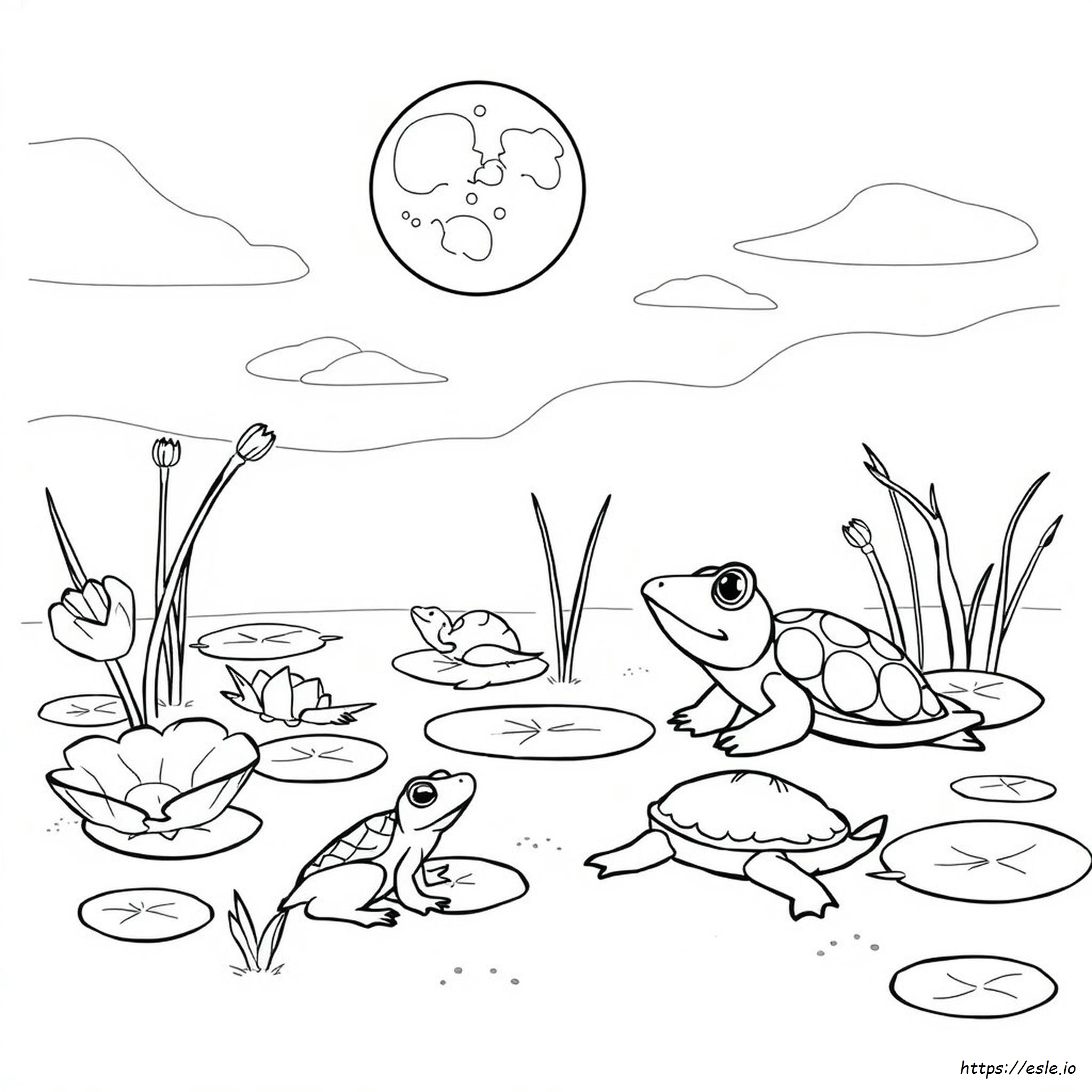 Animales De Pantano Para Colorear