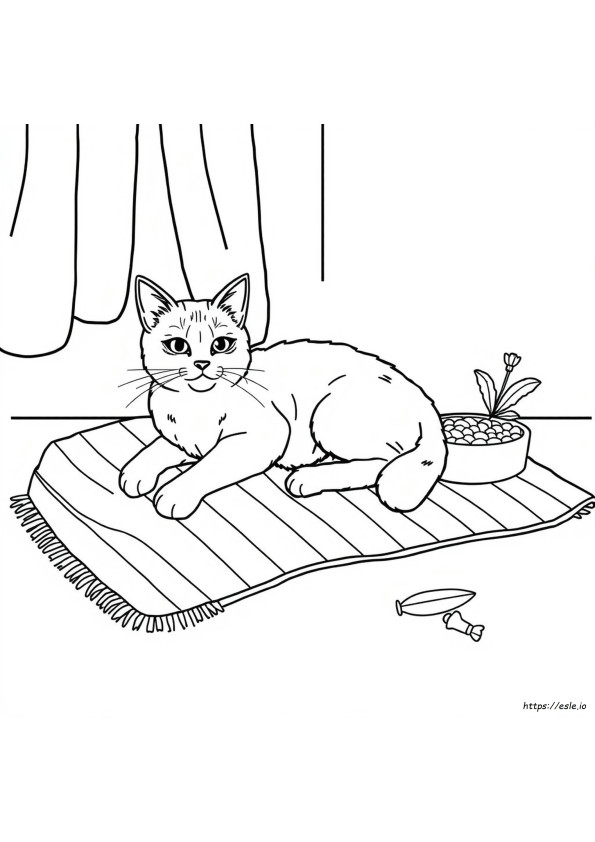 Lps Shorthair Cat Coloring Pages
