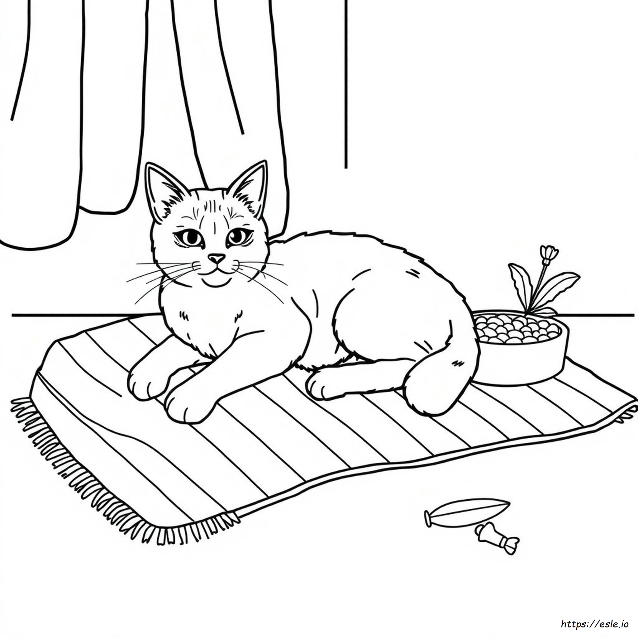 Lps Gato De Pelo Corto Páginas Para Colorear