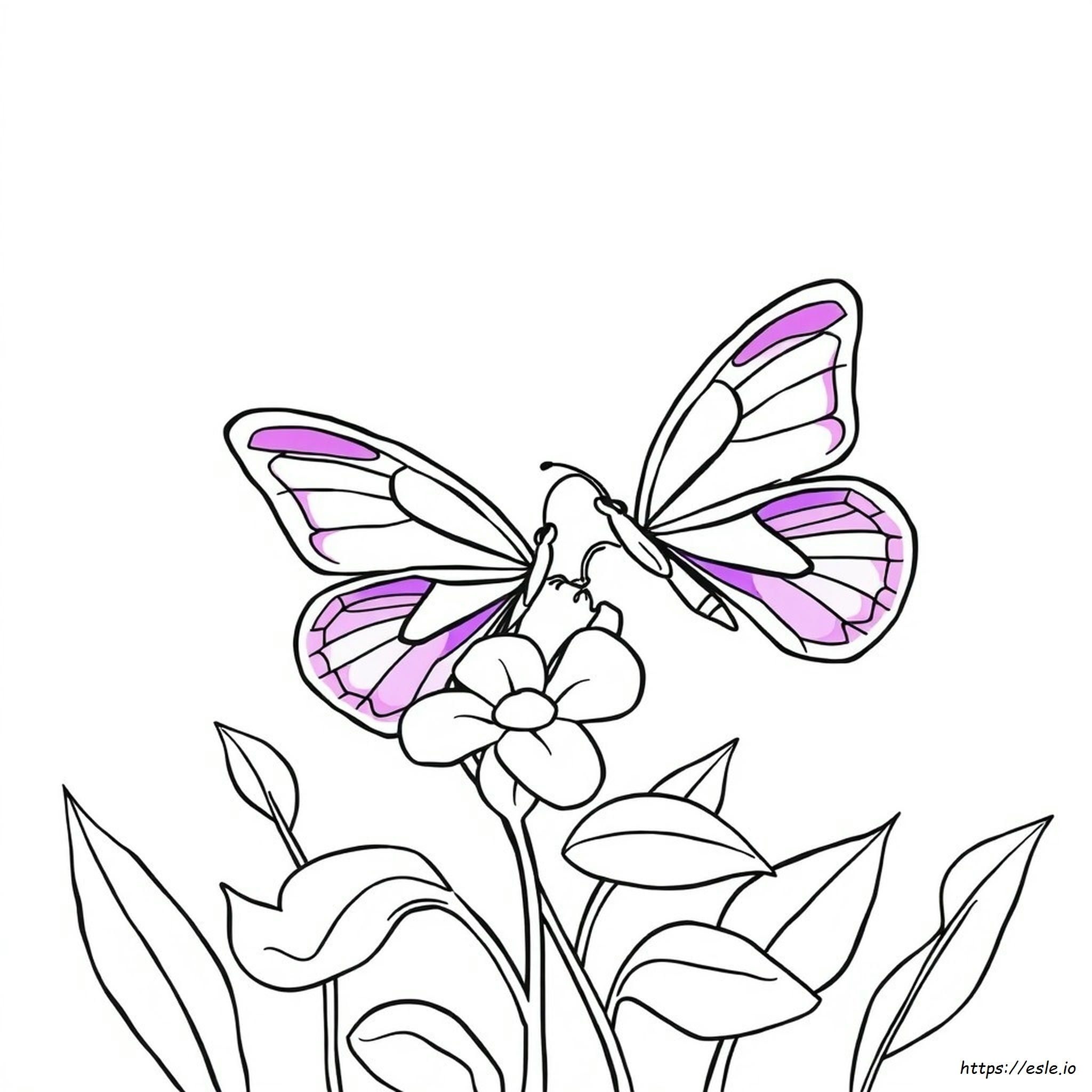 Color Picture Purple