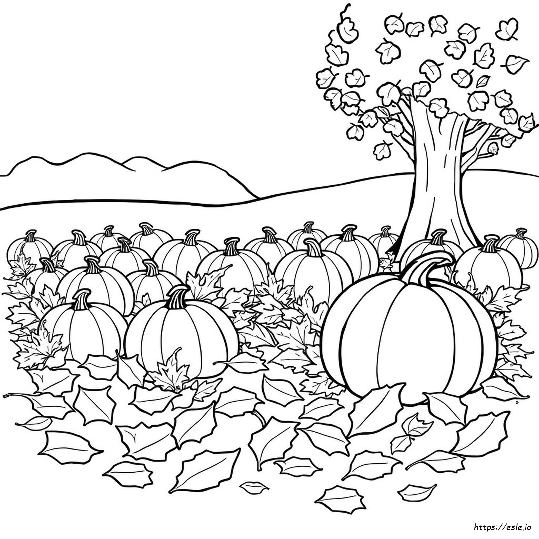 Free Printable Fall Pictures Coloring Pages