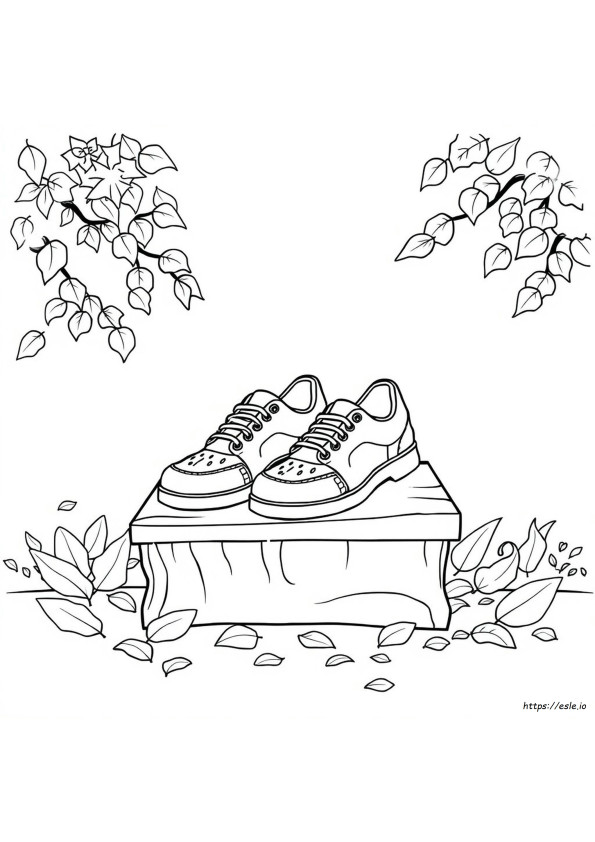 Idei De Colorat Pantofi