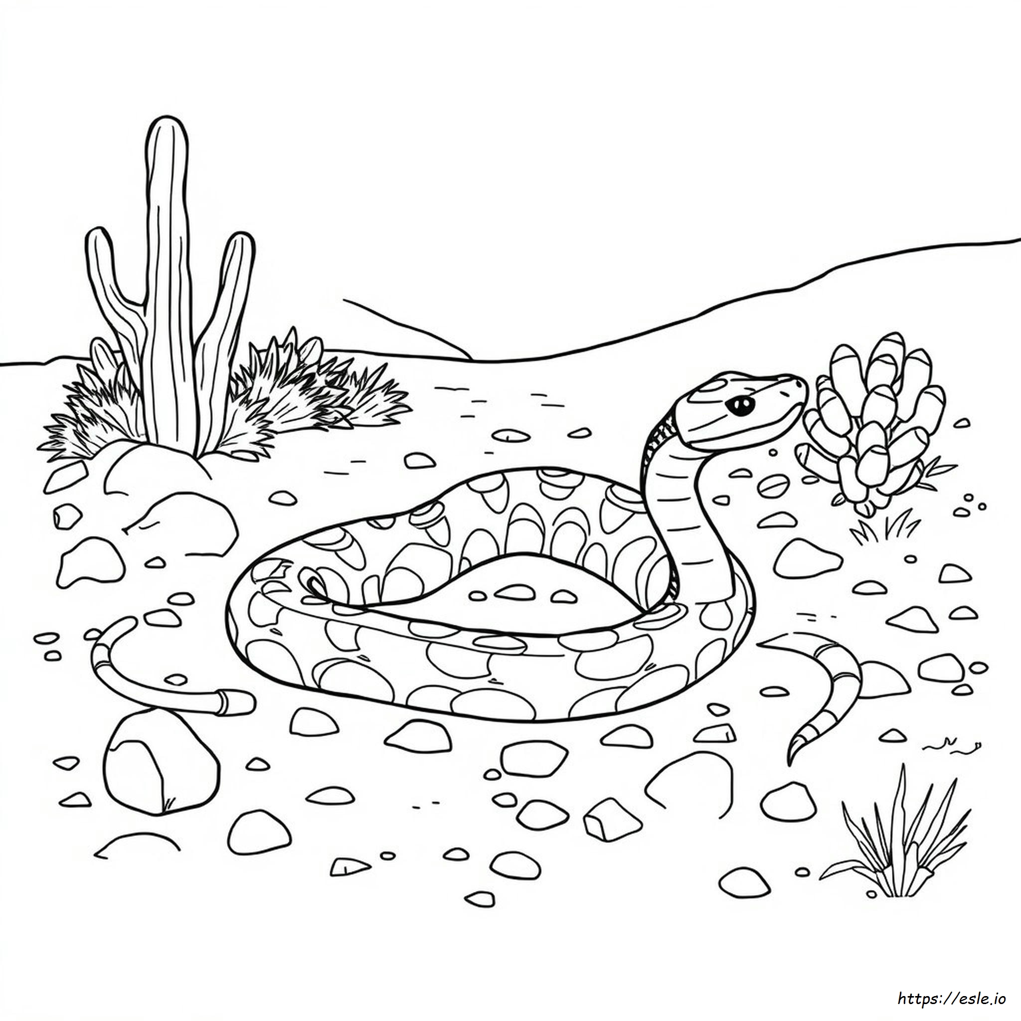 Diamondback Rattlesnake Coloring Page