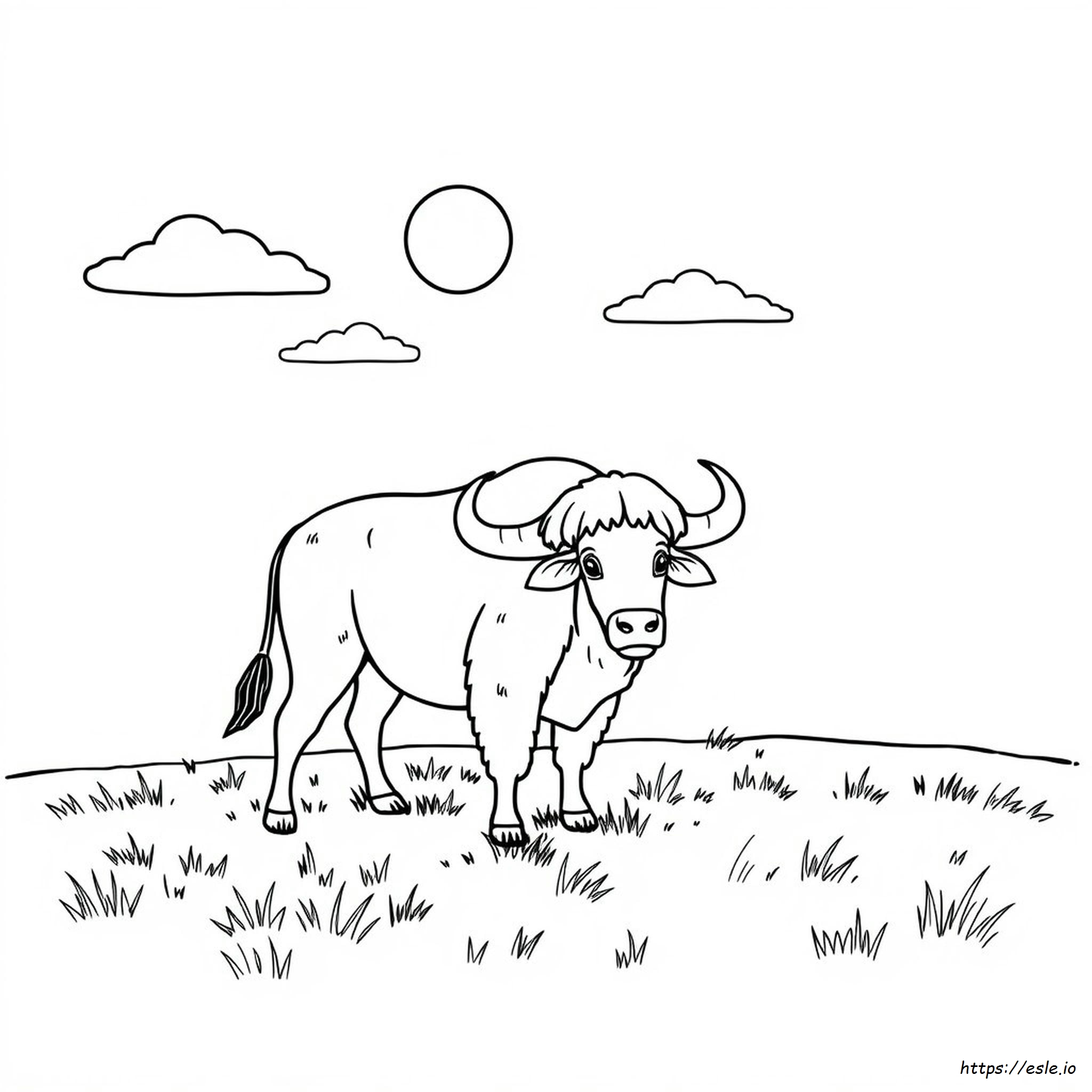 Coloring Pages Of A Buffalo