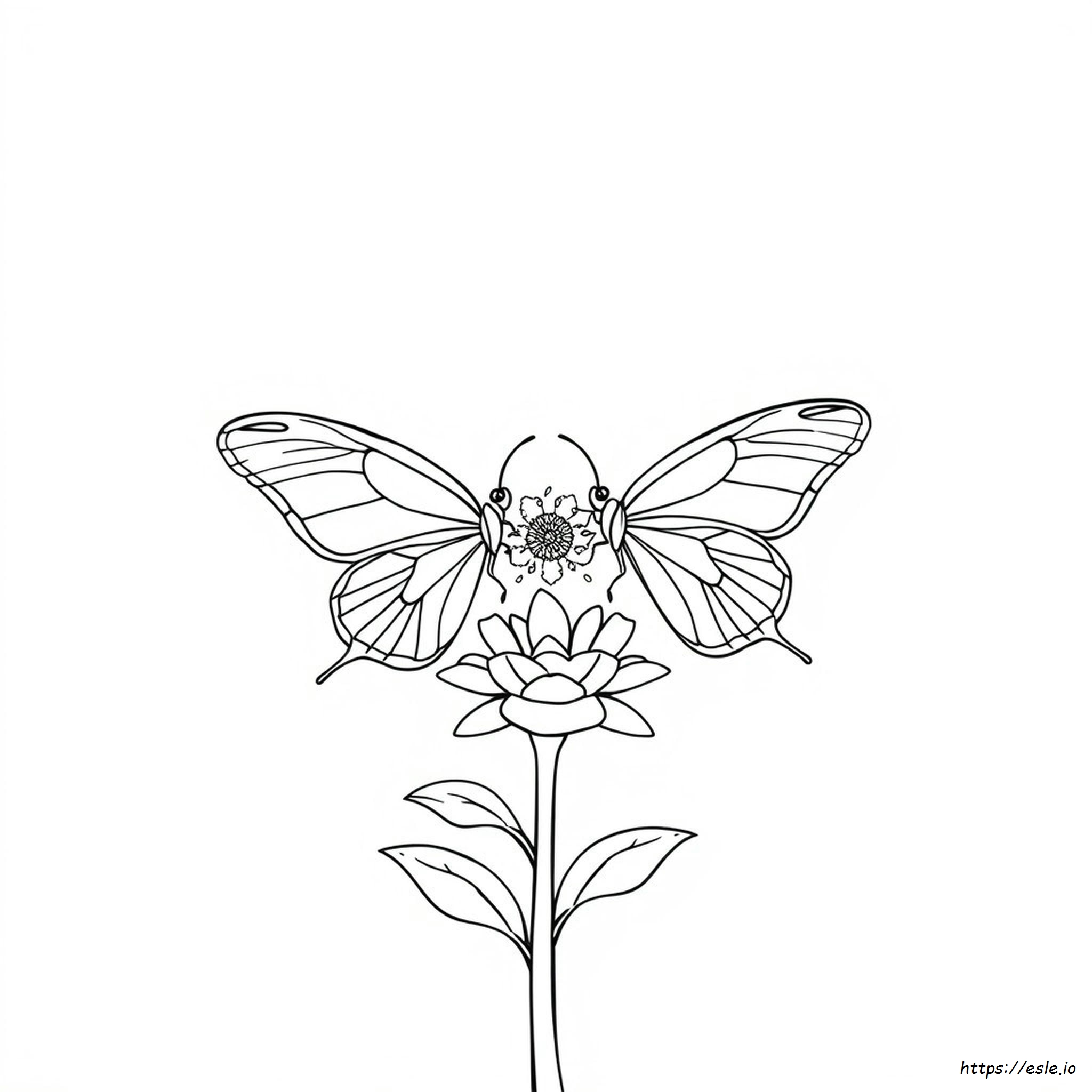 Symmetry Coloring Pages