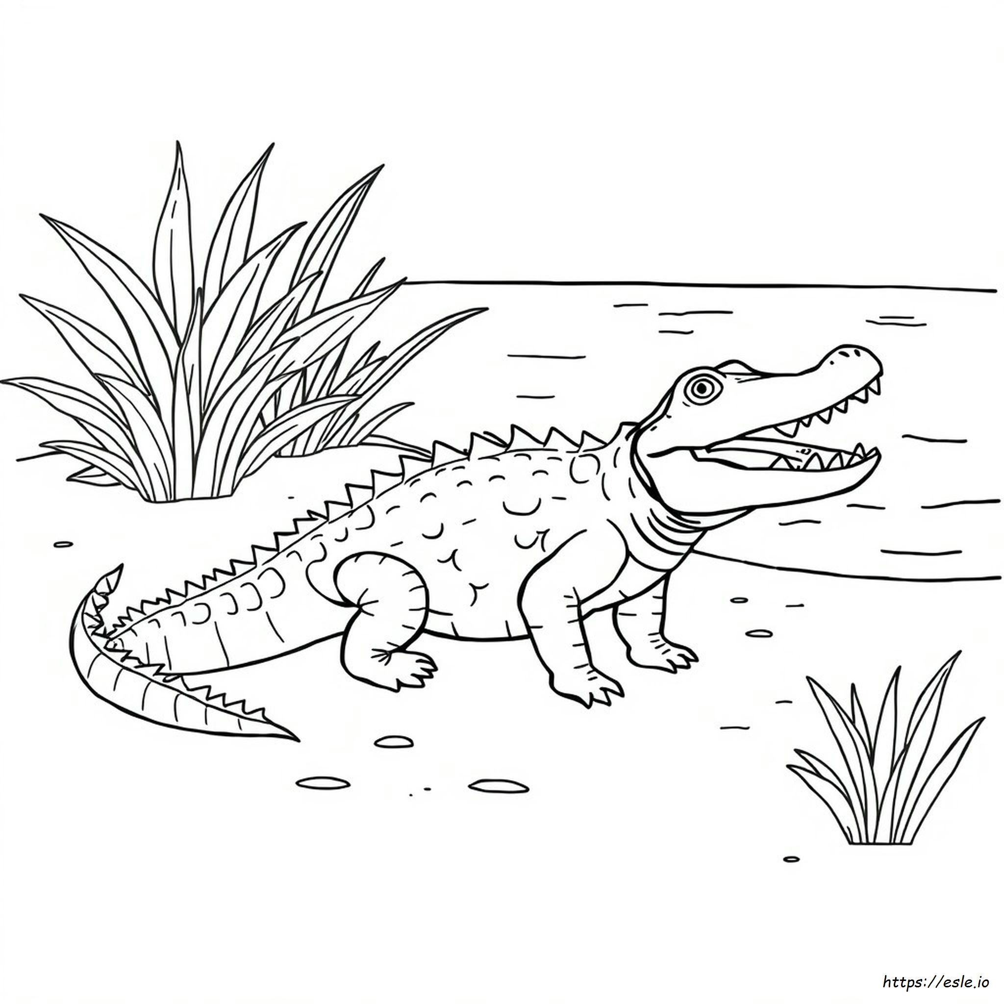 Easy Crocodile Coloring Pages