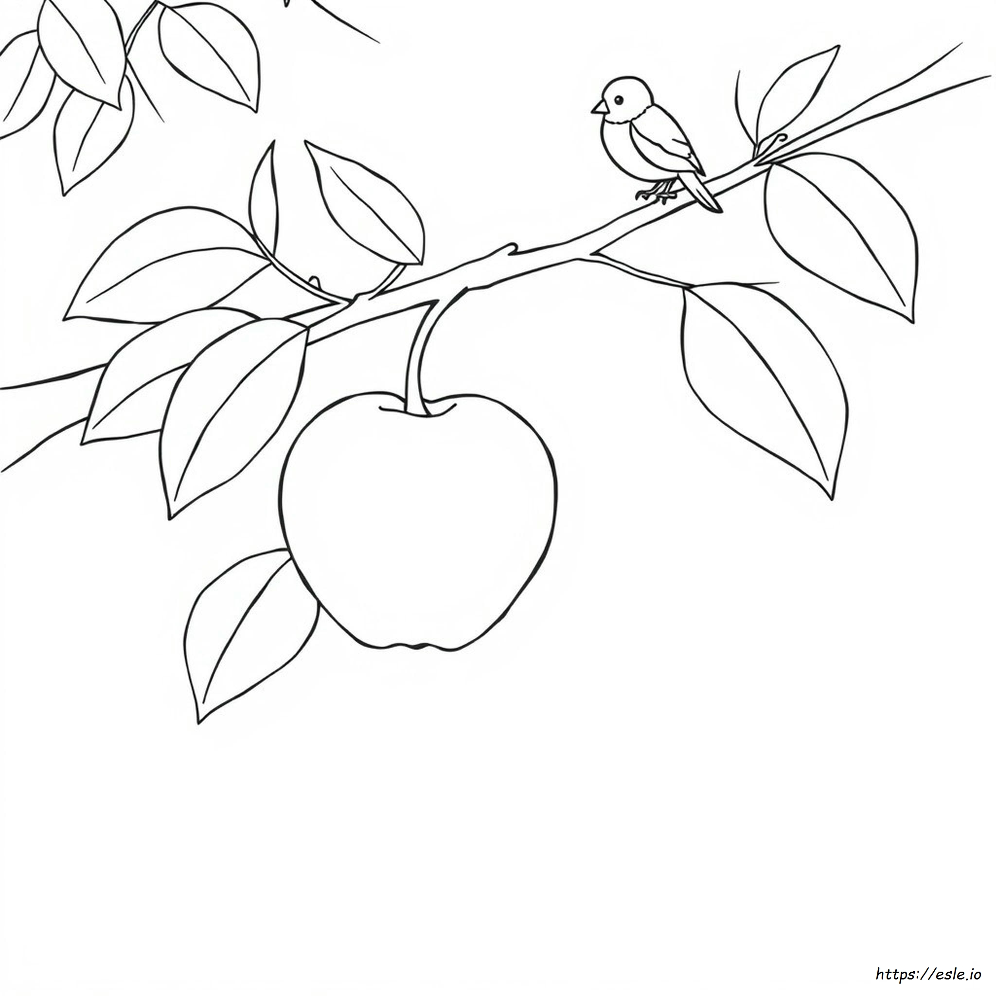 Custard Apple Coloring Page