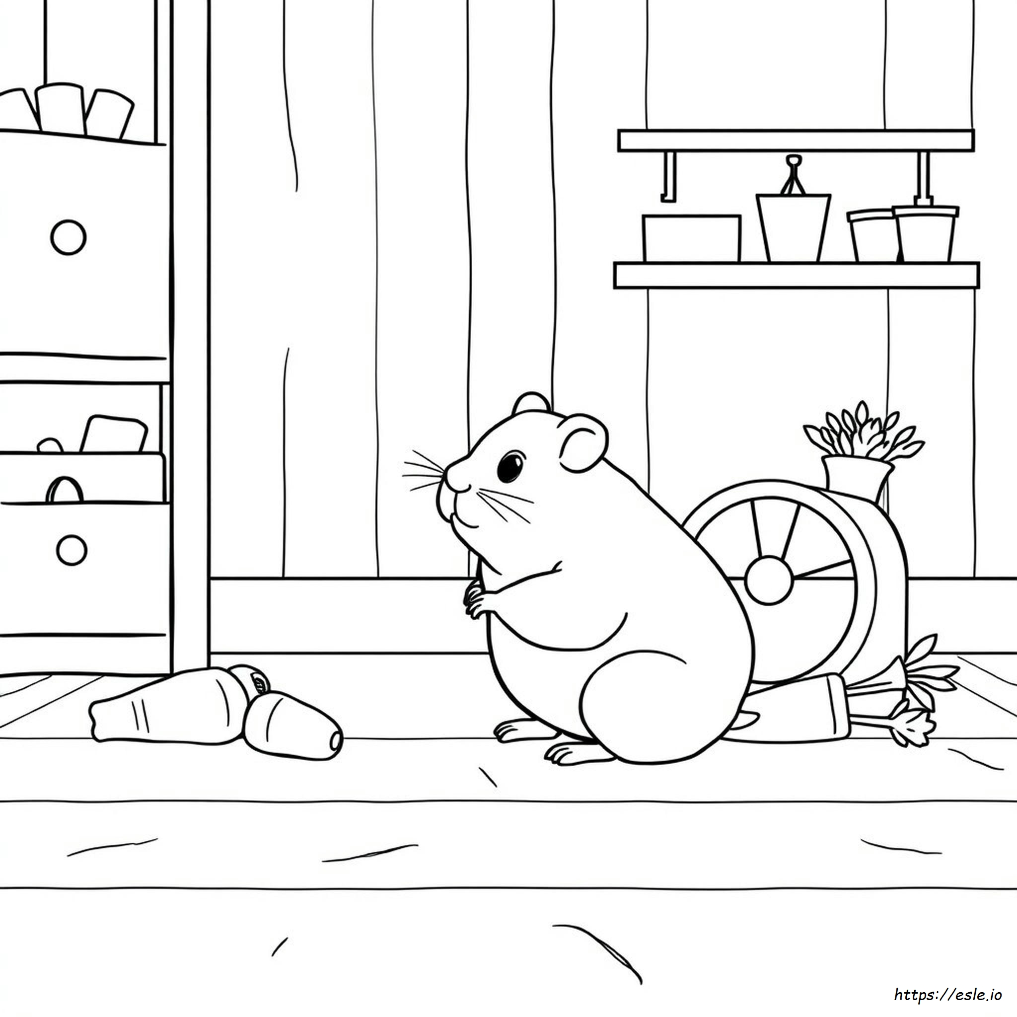 Hamster Colouring Pictures