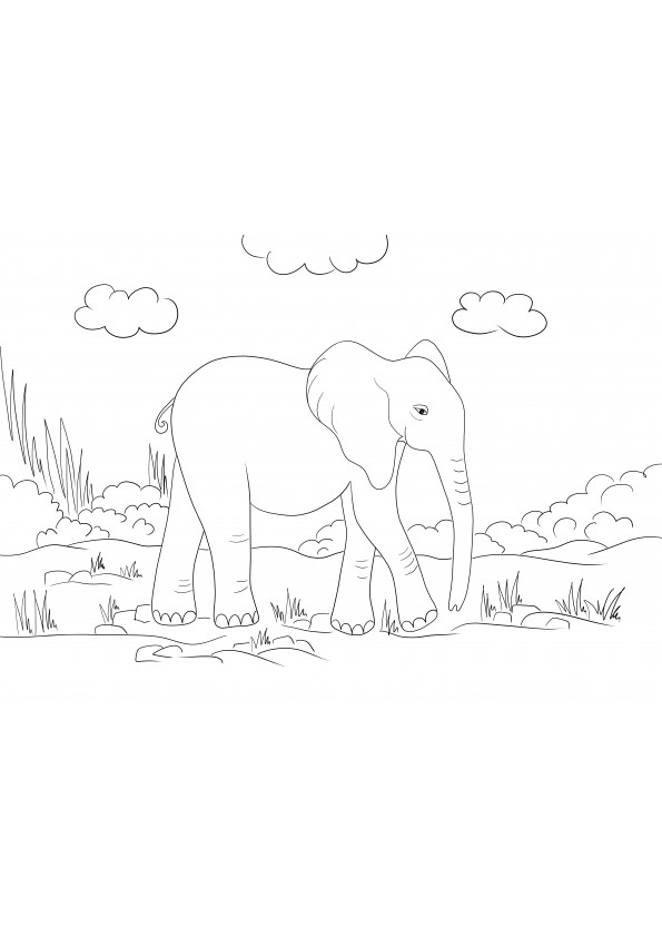A cute elephant coloring image to download or print for free