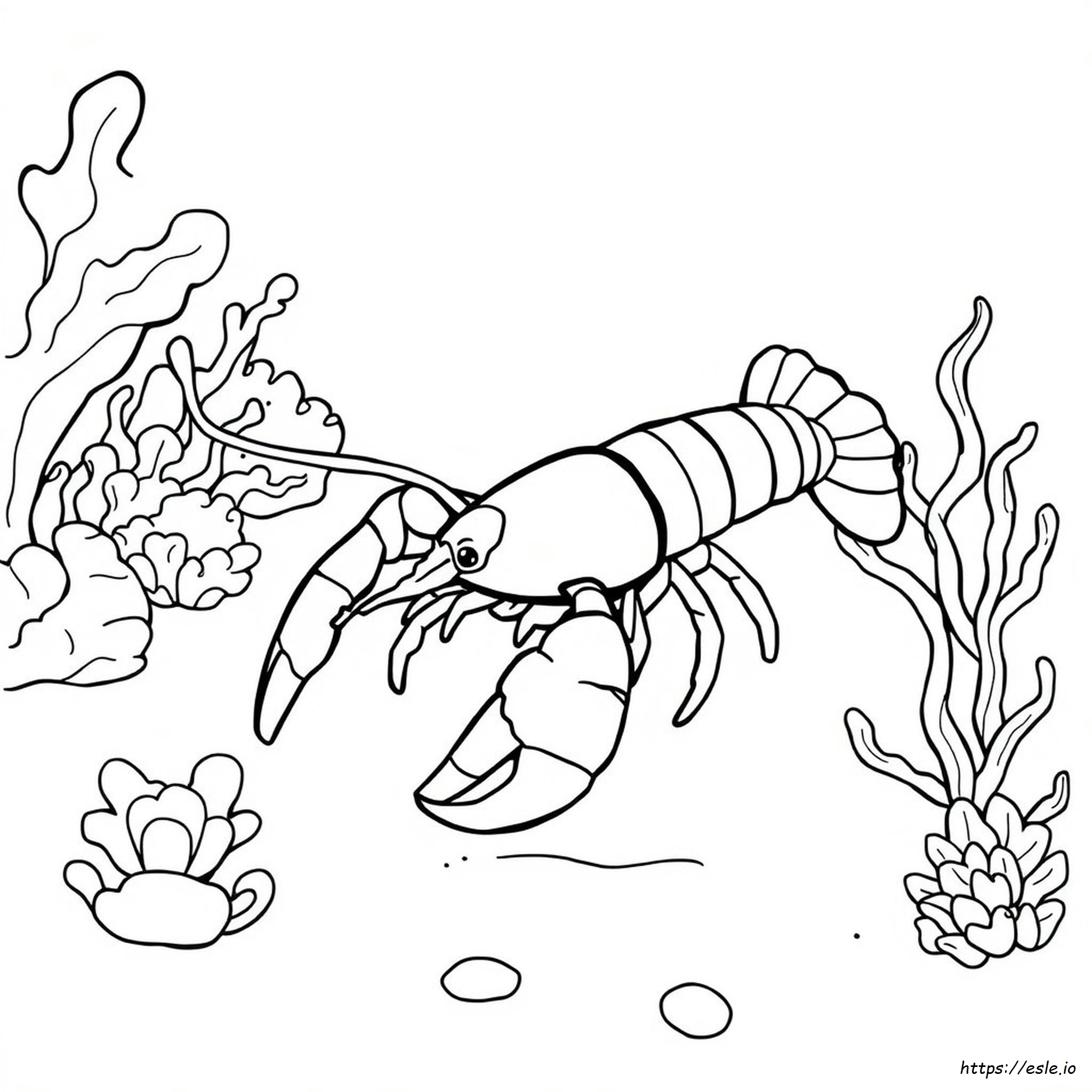 Lobster Coloring Page