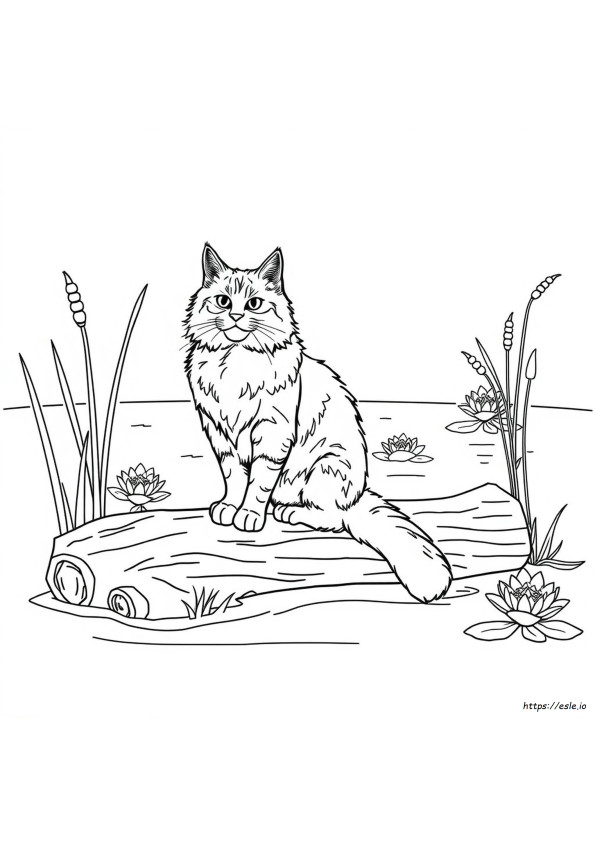 Maine Coon Cat Coloring Pages