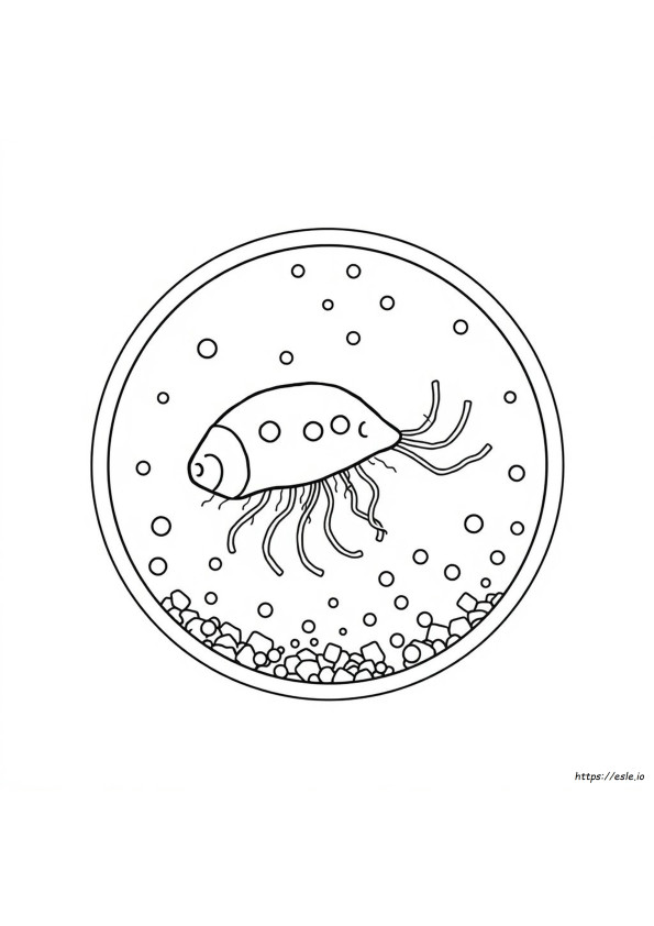 Paramecium Coloring Sheet
