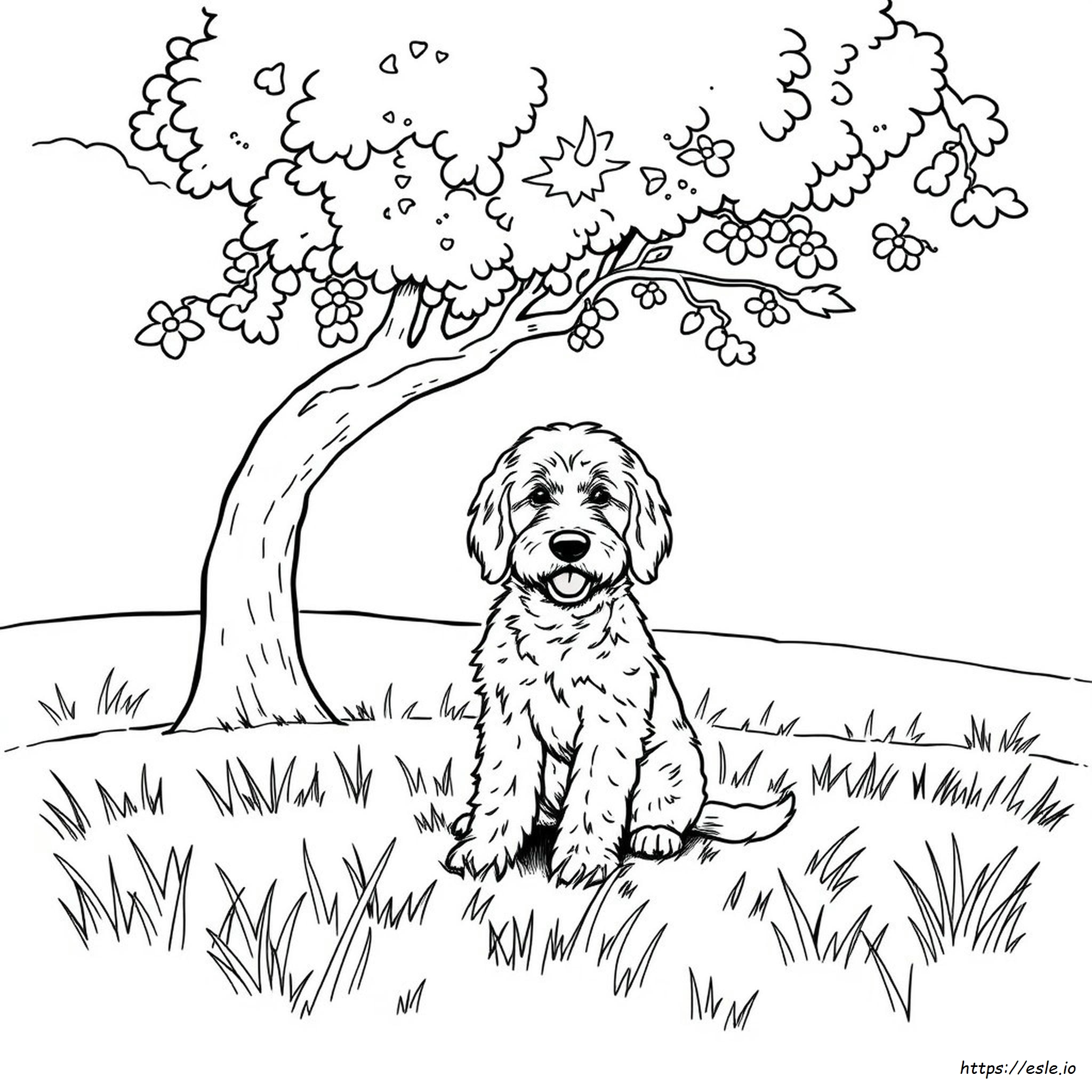Goldendoodle Coloring Pages Printable