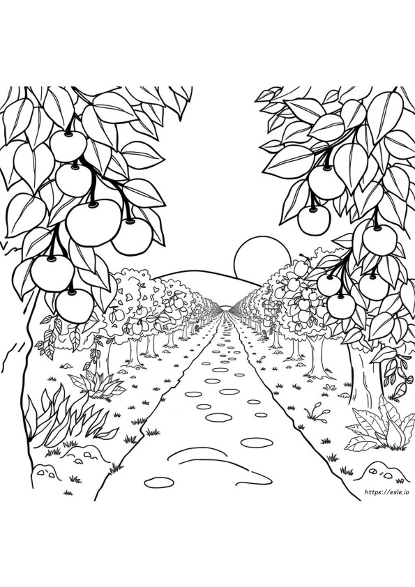 Fruit Of The Spirit Coloring Page For Preschoolers