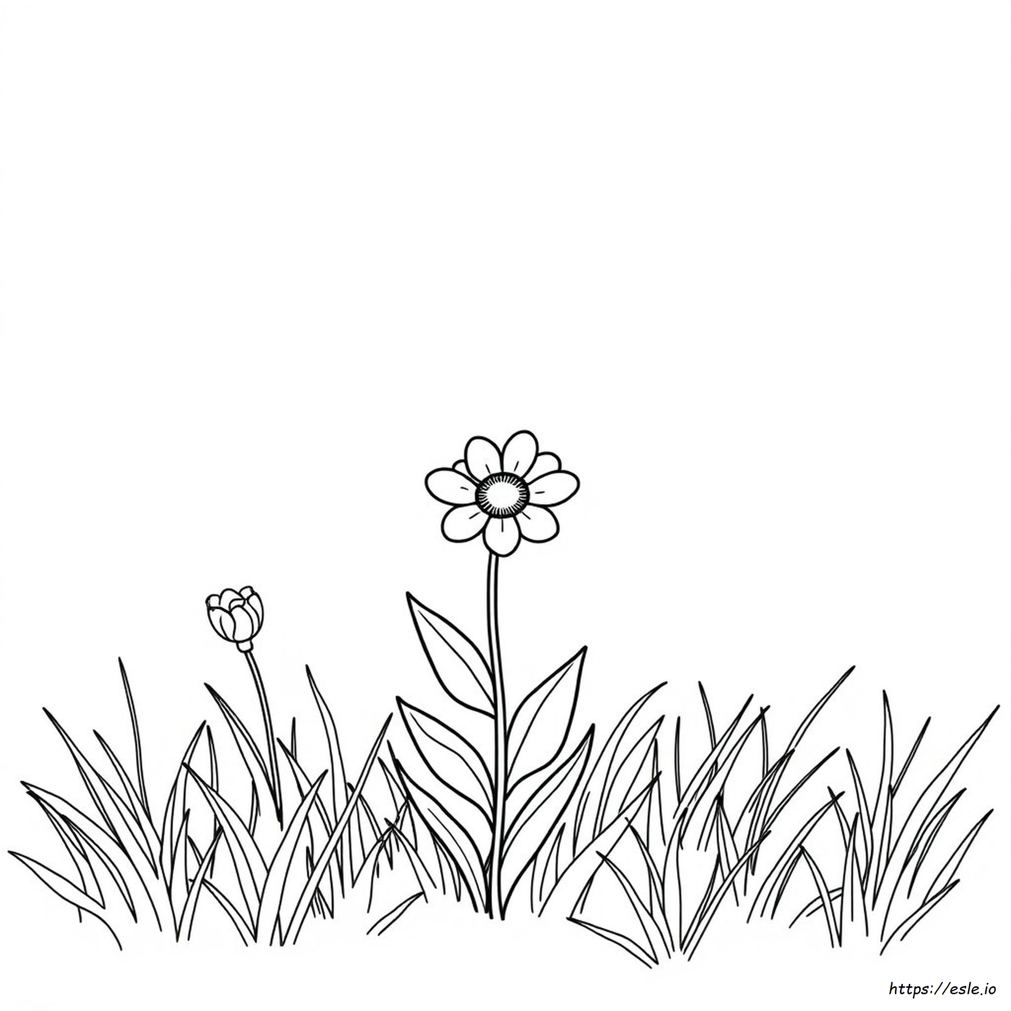 Free Printable Mindful Coloring Pages