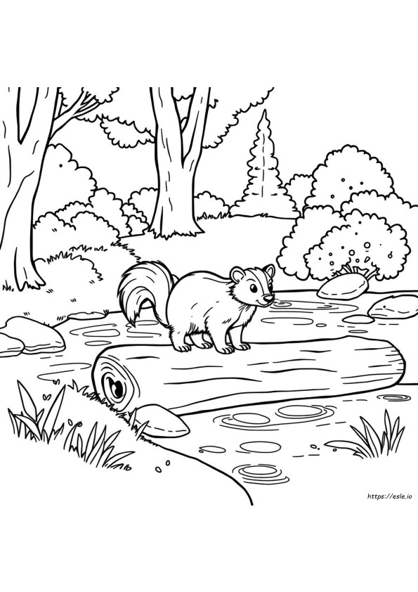 Dibujo De Mofeta Para Colorear Imprimible