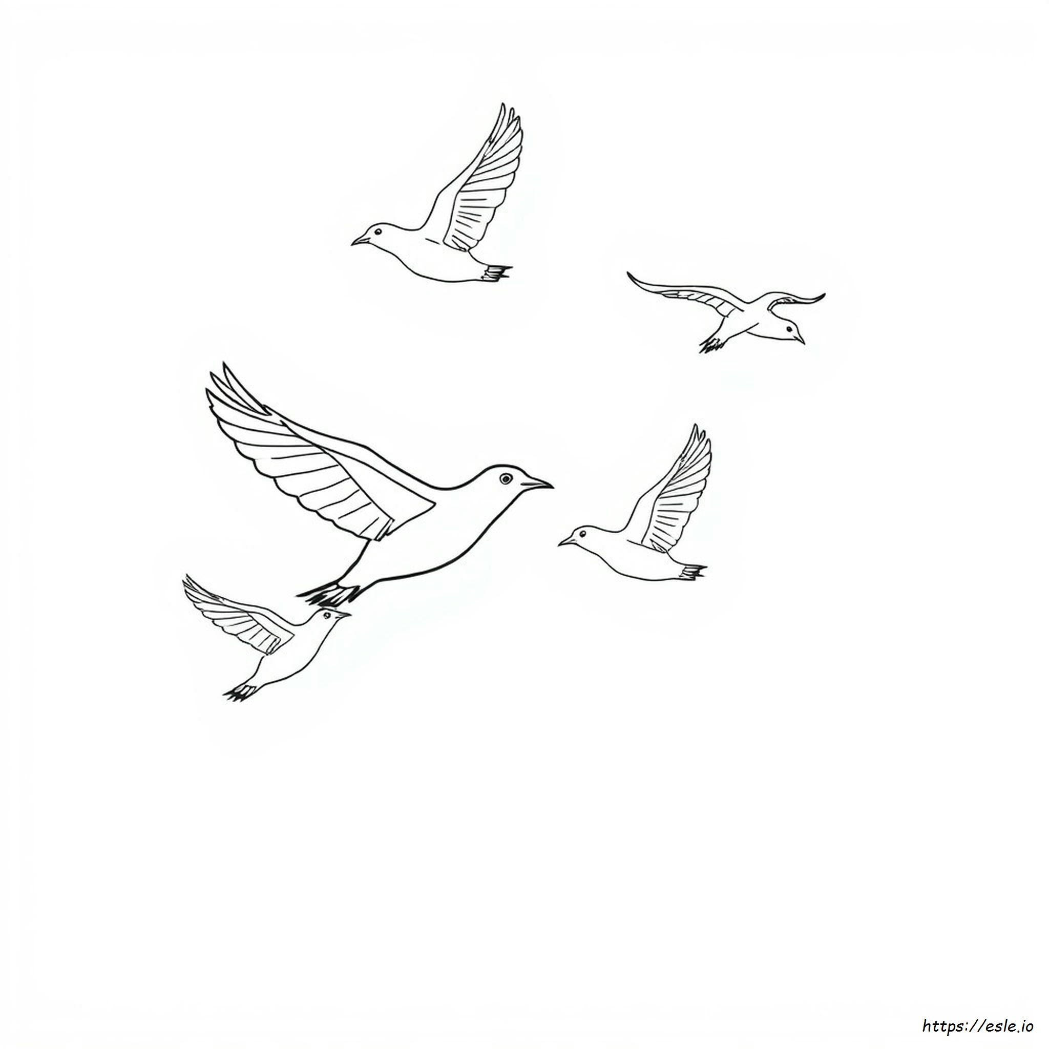 Flying Animals Coloring Pages