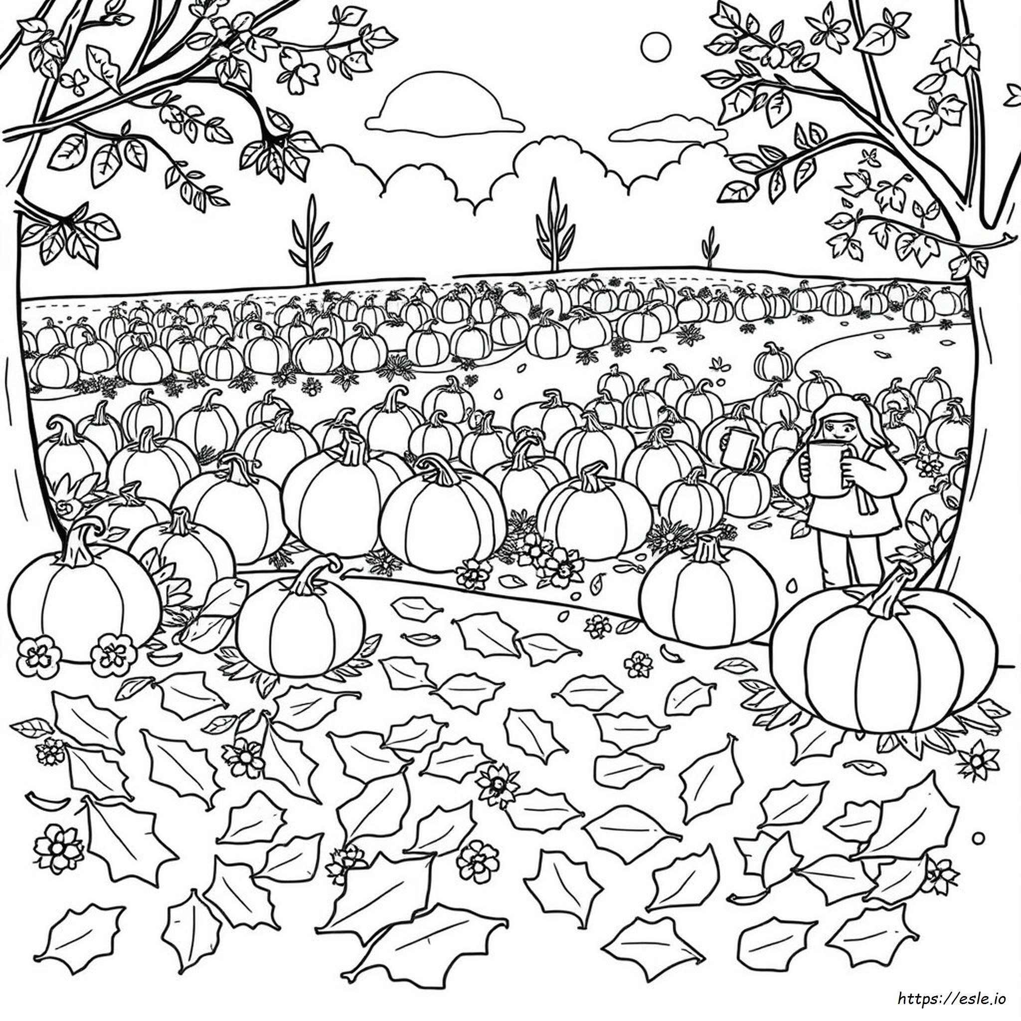 Fall Festival Coloring Pages