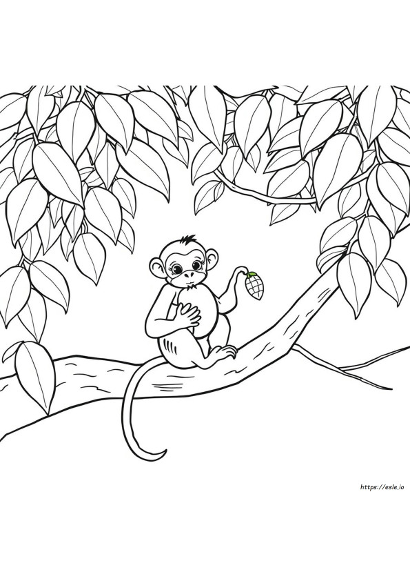 Affe Ausmalbilder Zum Ausdrucken