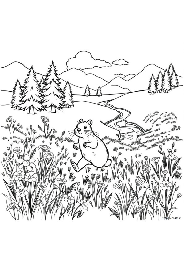 Are There Voles In Colorado