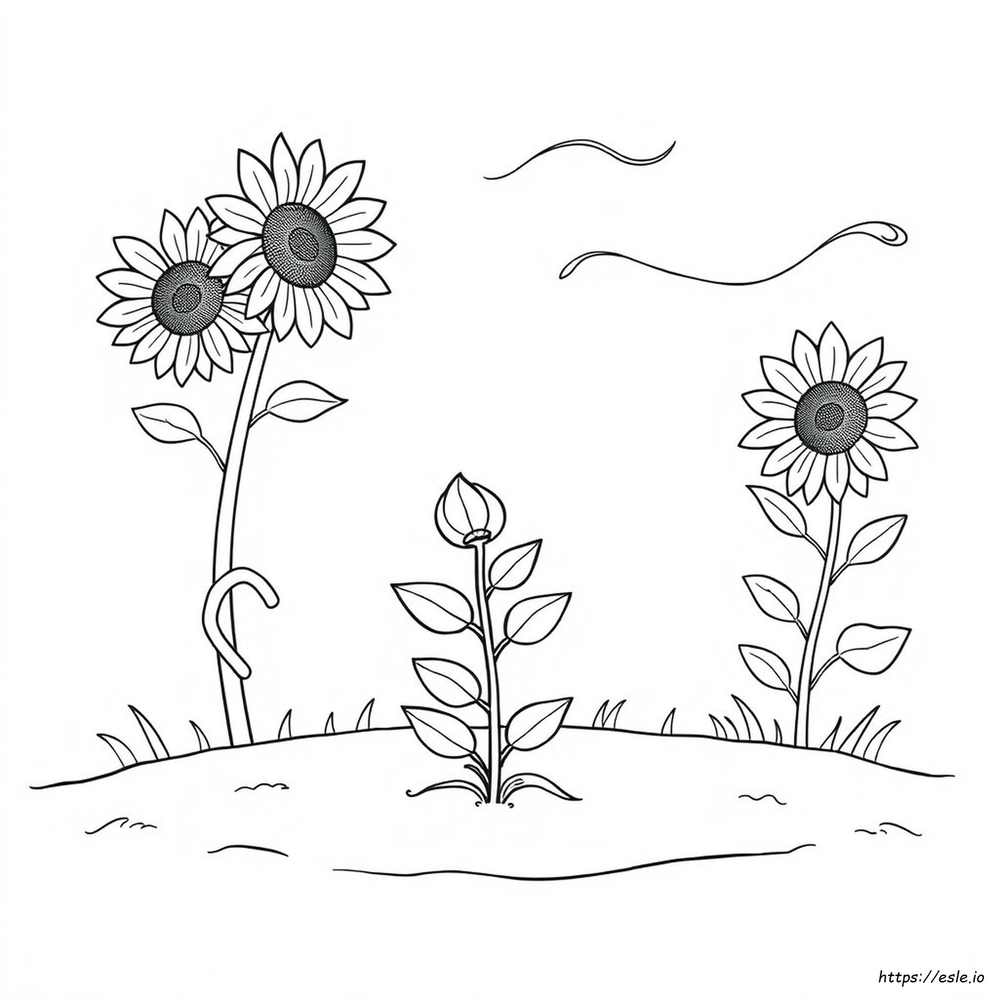 sping-coloring-pages