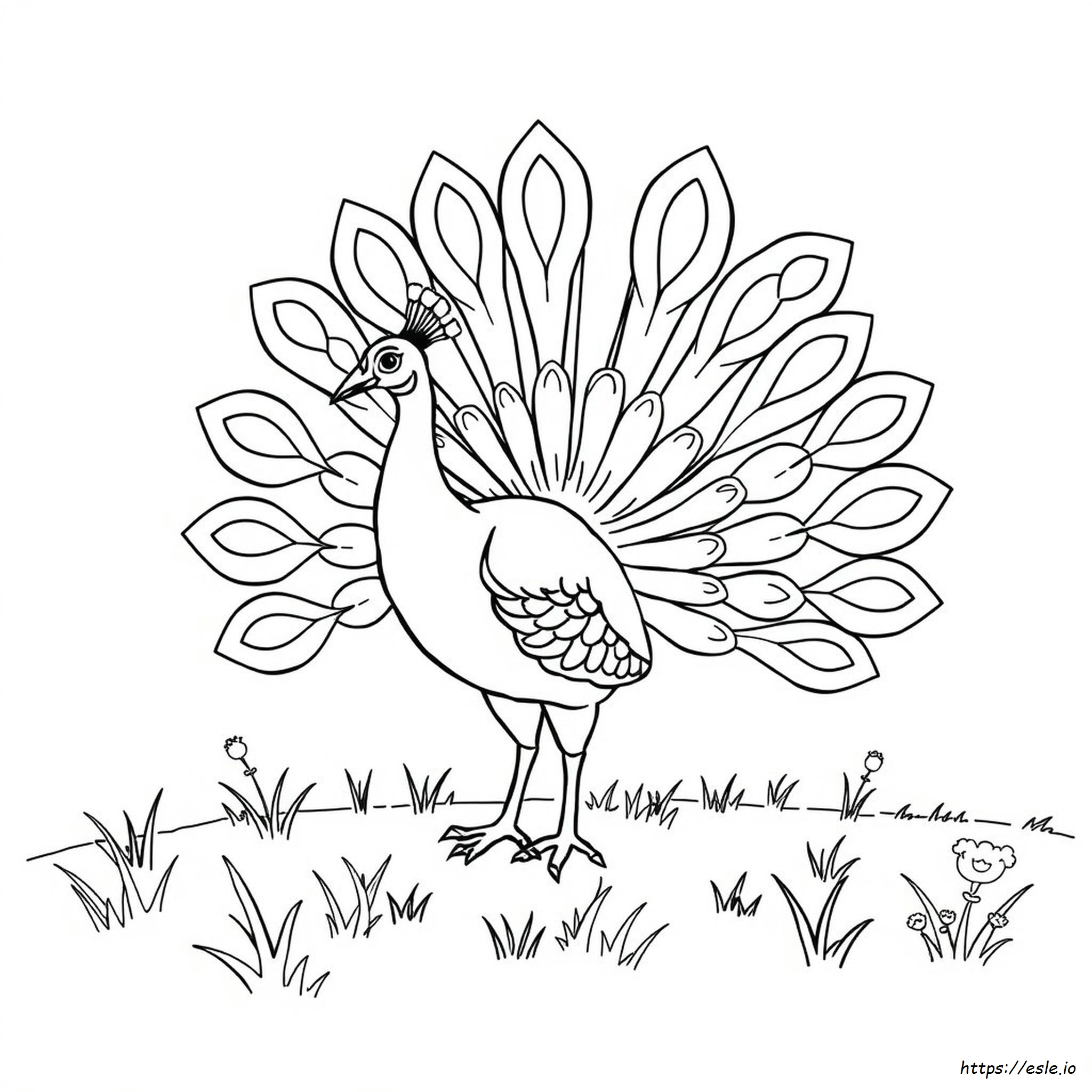 Peacock Outline For Colouring
