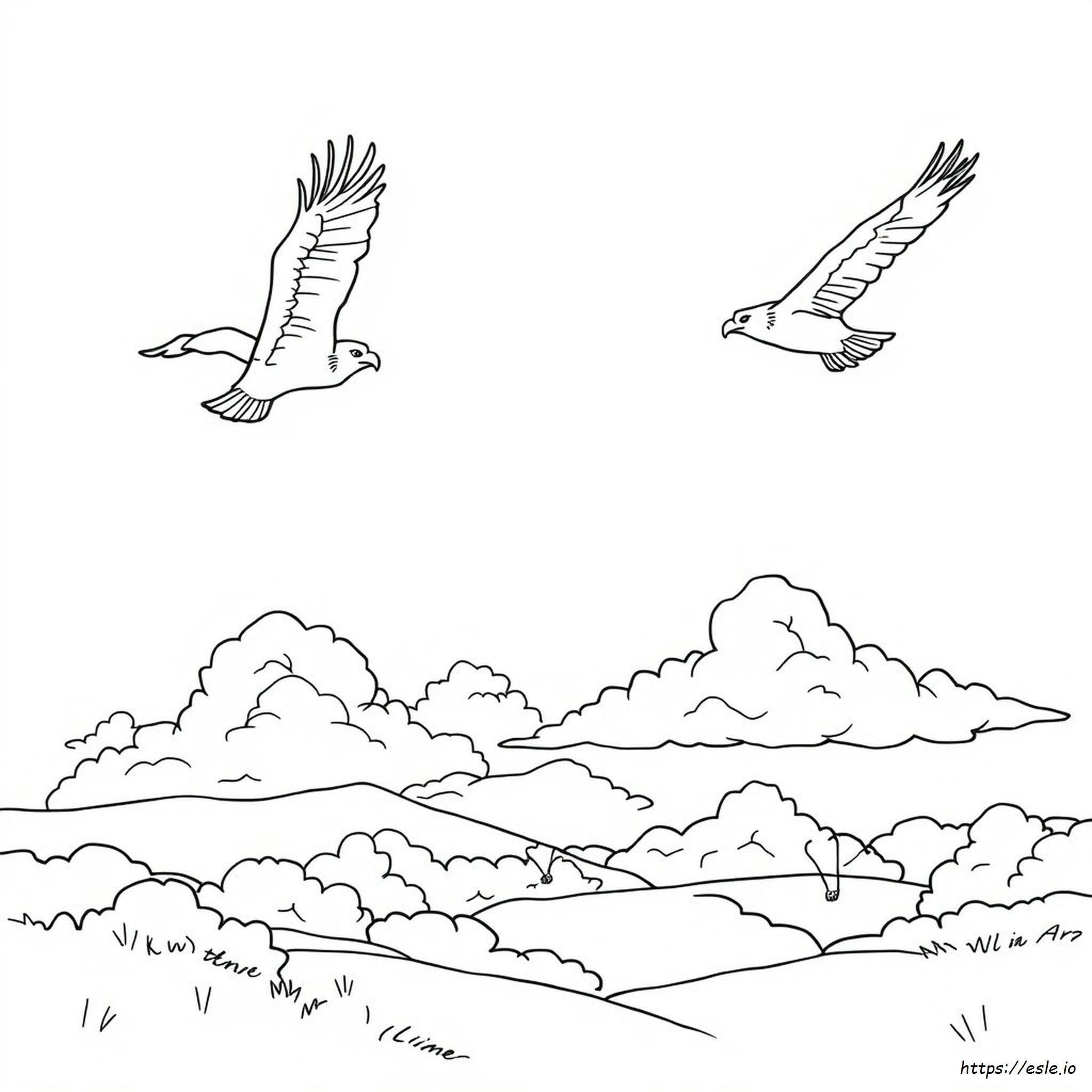 Eagle Coloring Pages To Print