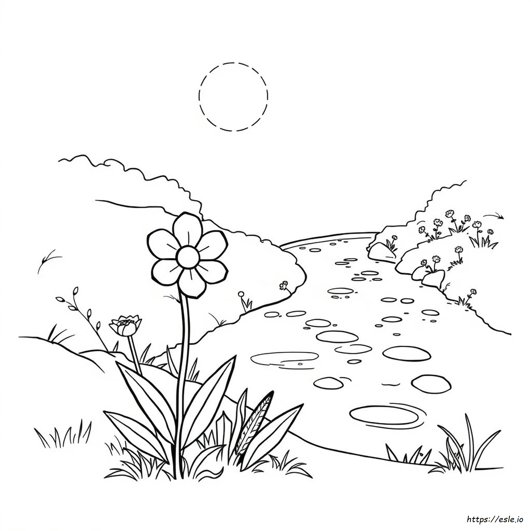 Nature Colouring Images