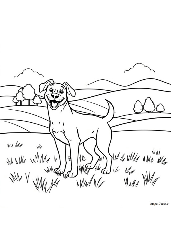 Köpek Boyama Sayfaları