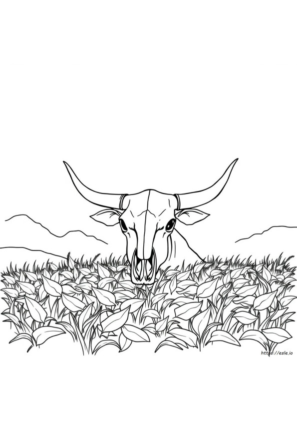牛の頭蓋骨 塗り絵