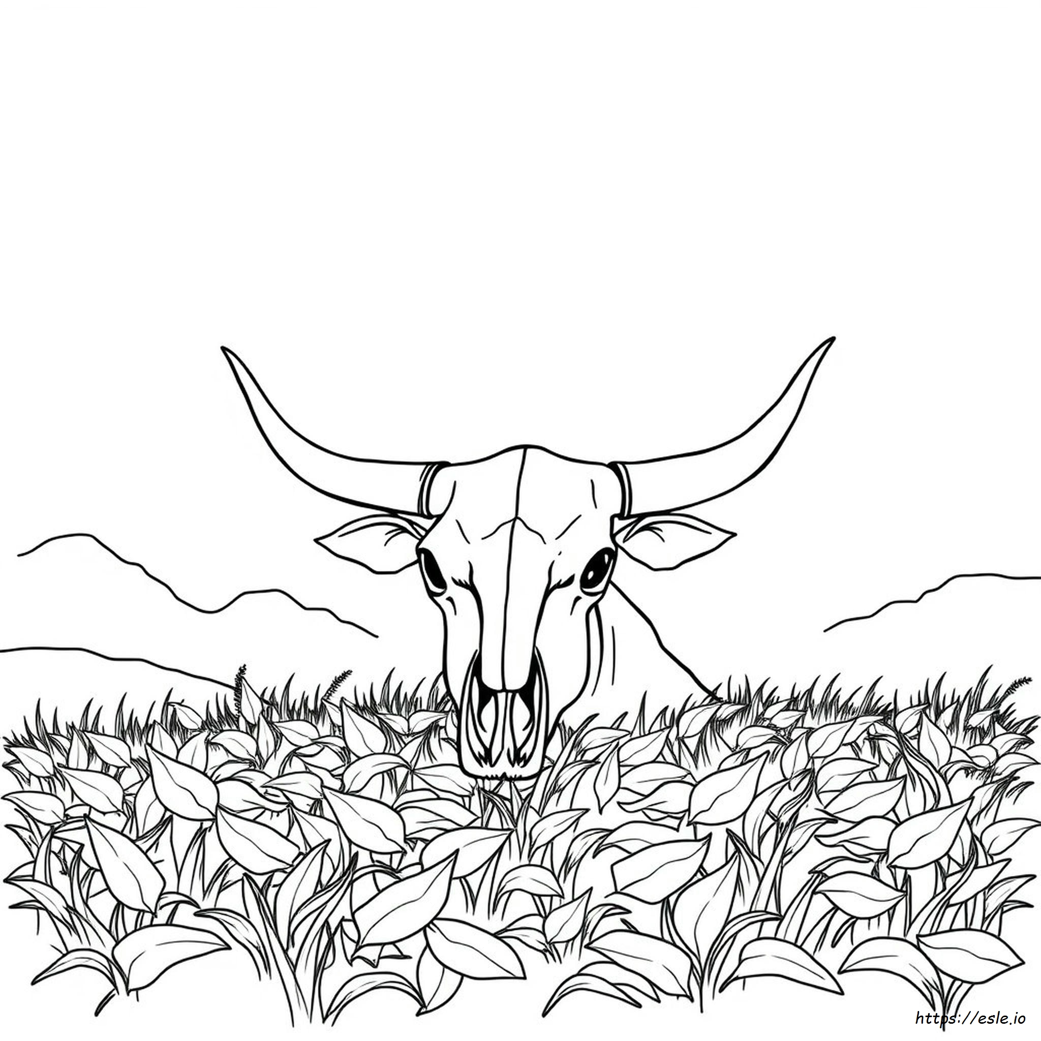 Cow Skull Coloring Pages