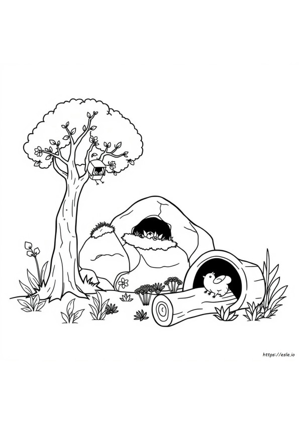 Desenhos De Habitats Para Colorir