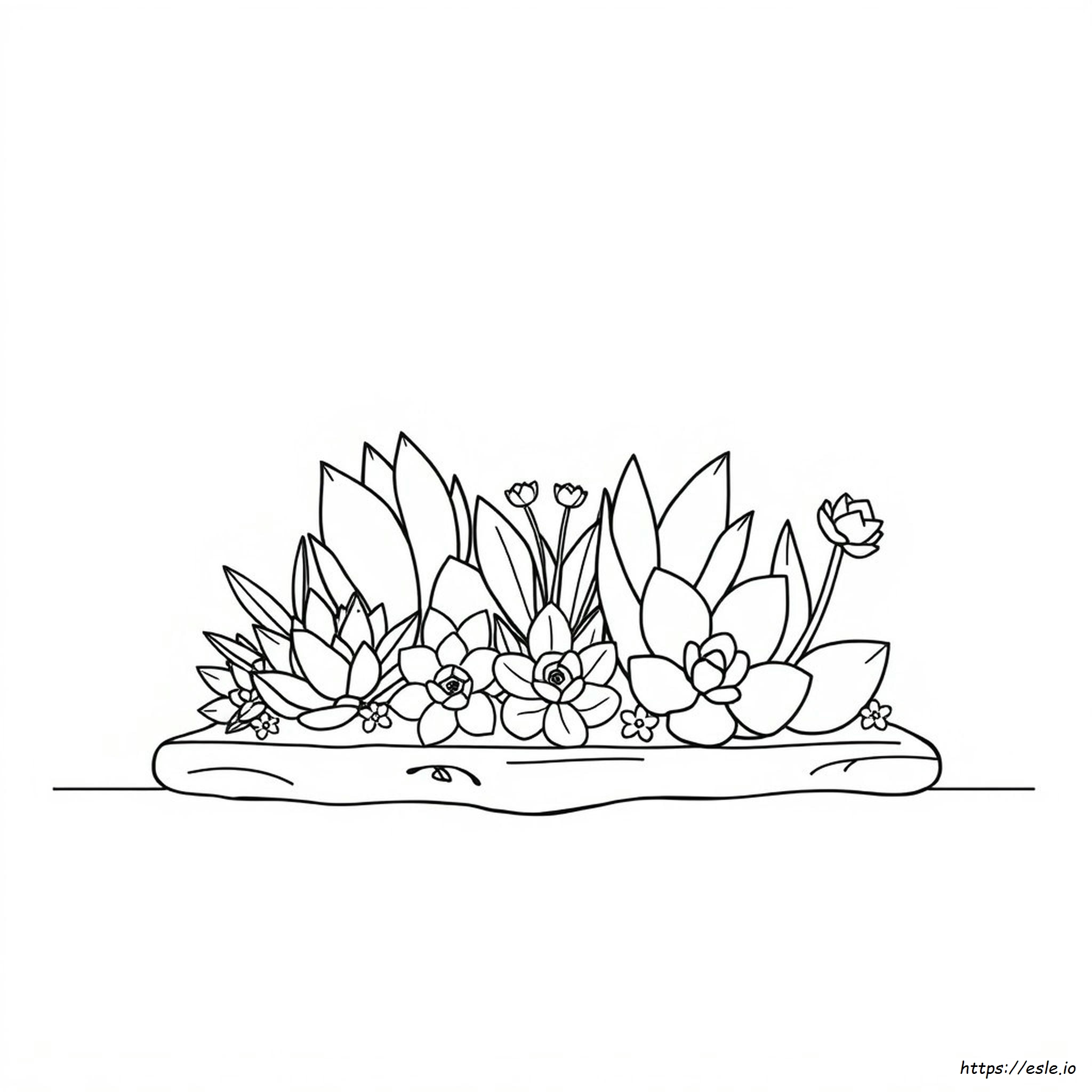 Coloring Pages Of Succulents