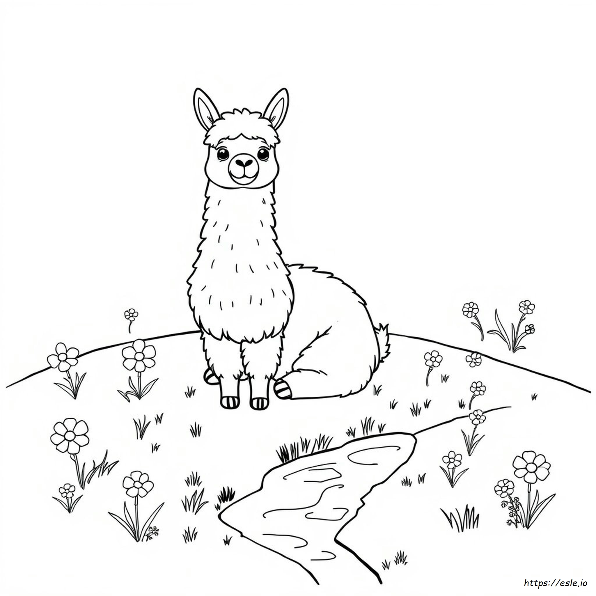 Cute Alpaca Coloring Pages