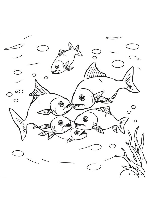 Piranha De Colorat