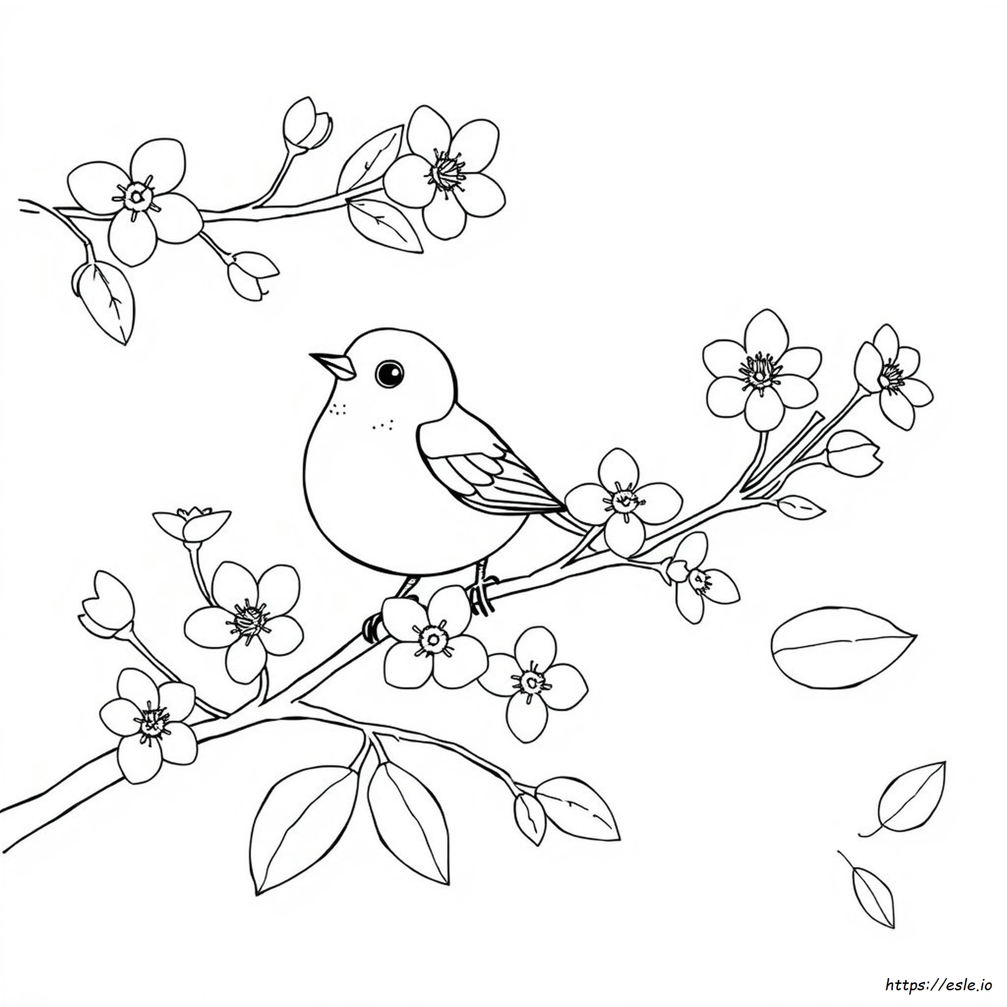 Printable Spring Birds Spring Bird Coloring Page