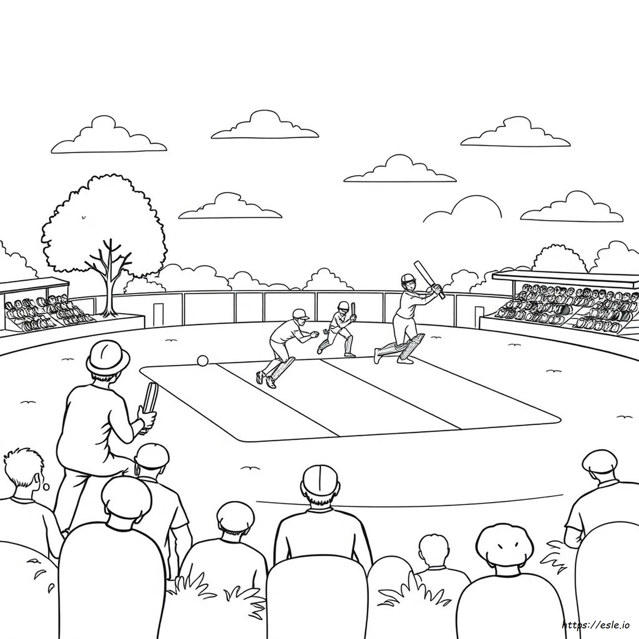 Playing Cricket Match Cricket Colouring Pages