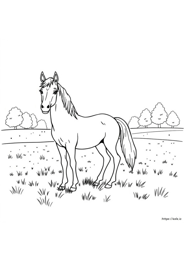 Puledri Da Colorare