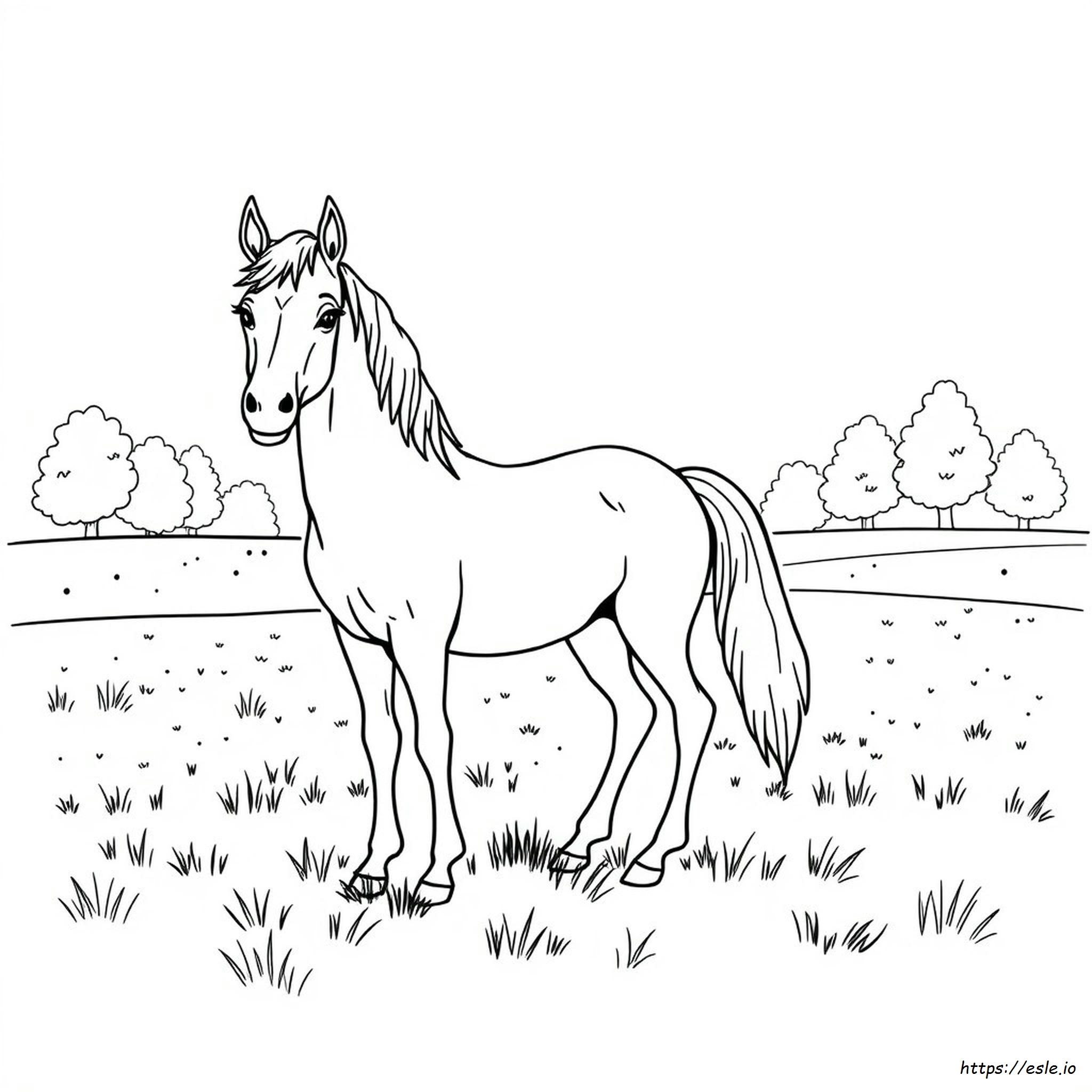 Coloring Pages Of Colts