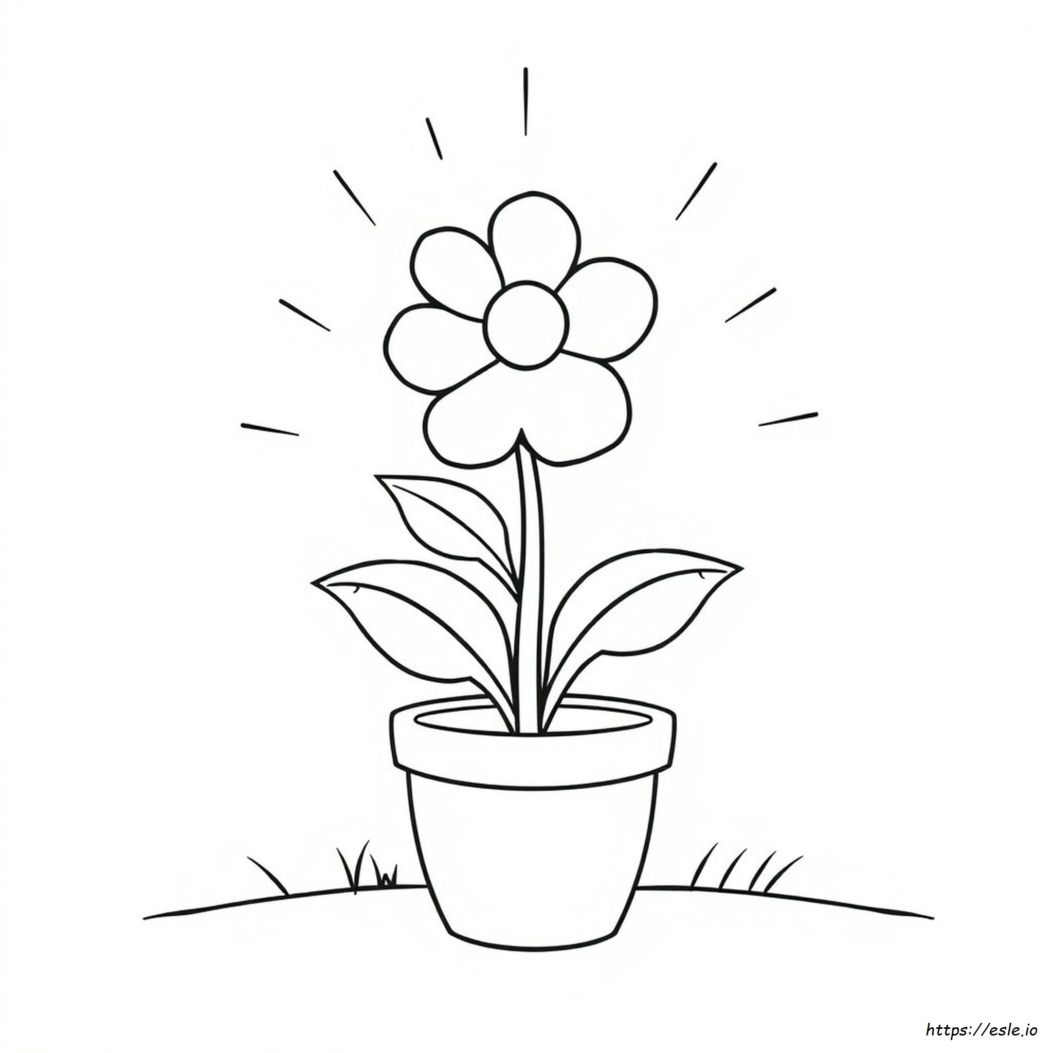 Fiori Da Colorare E Stampare Per La Scuola Materna