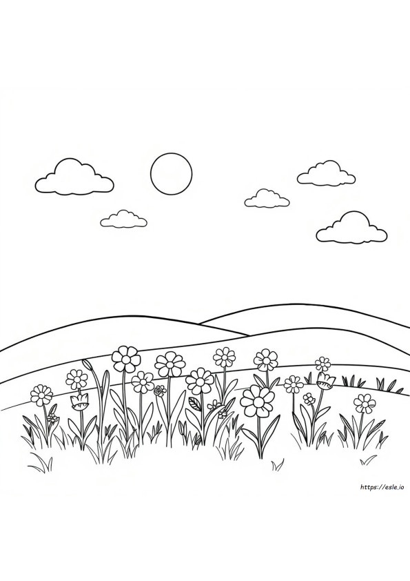 Boox Page Vs Color 7