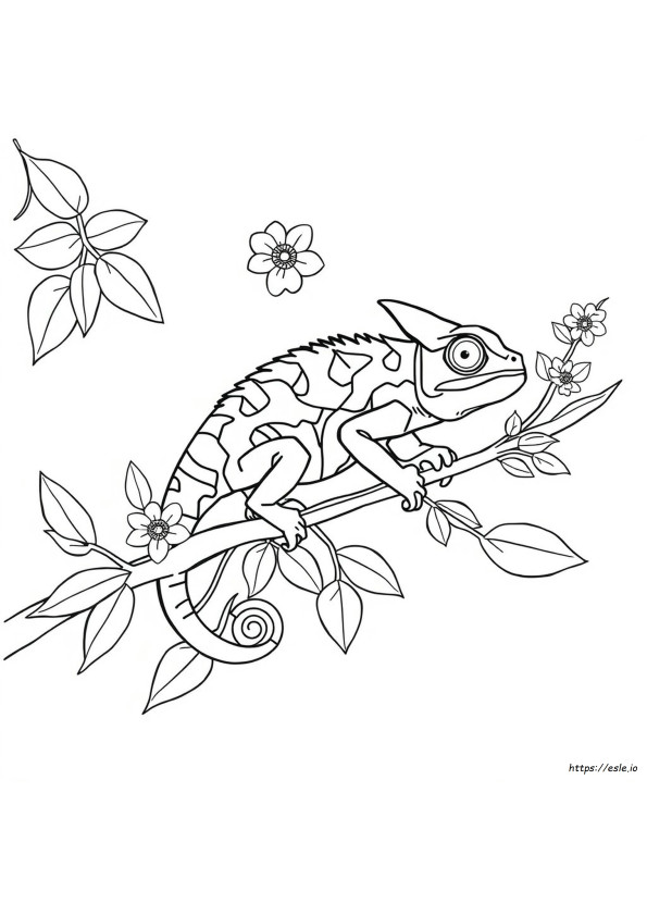 Coloriage Caméléon