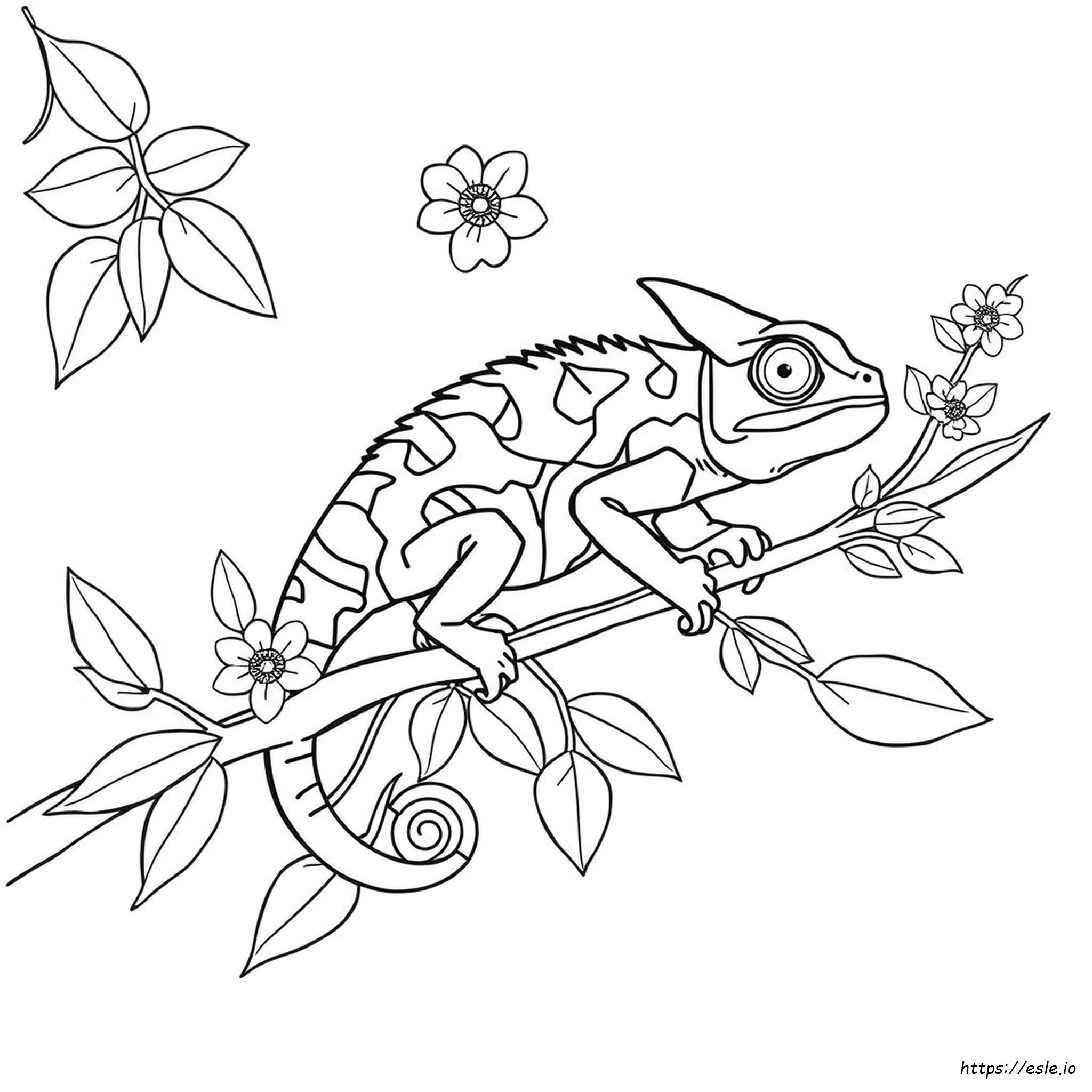 Camaleão Para Colorir